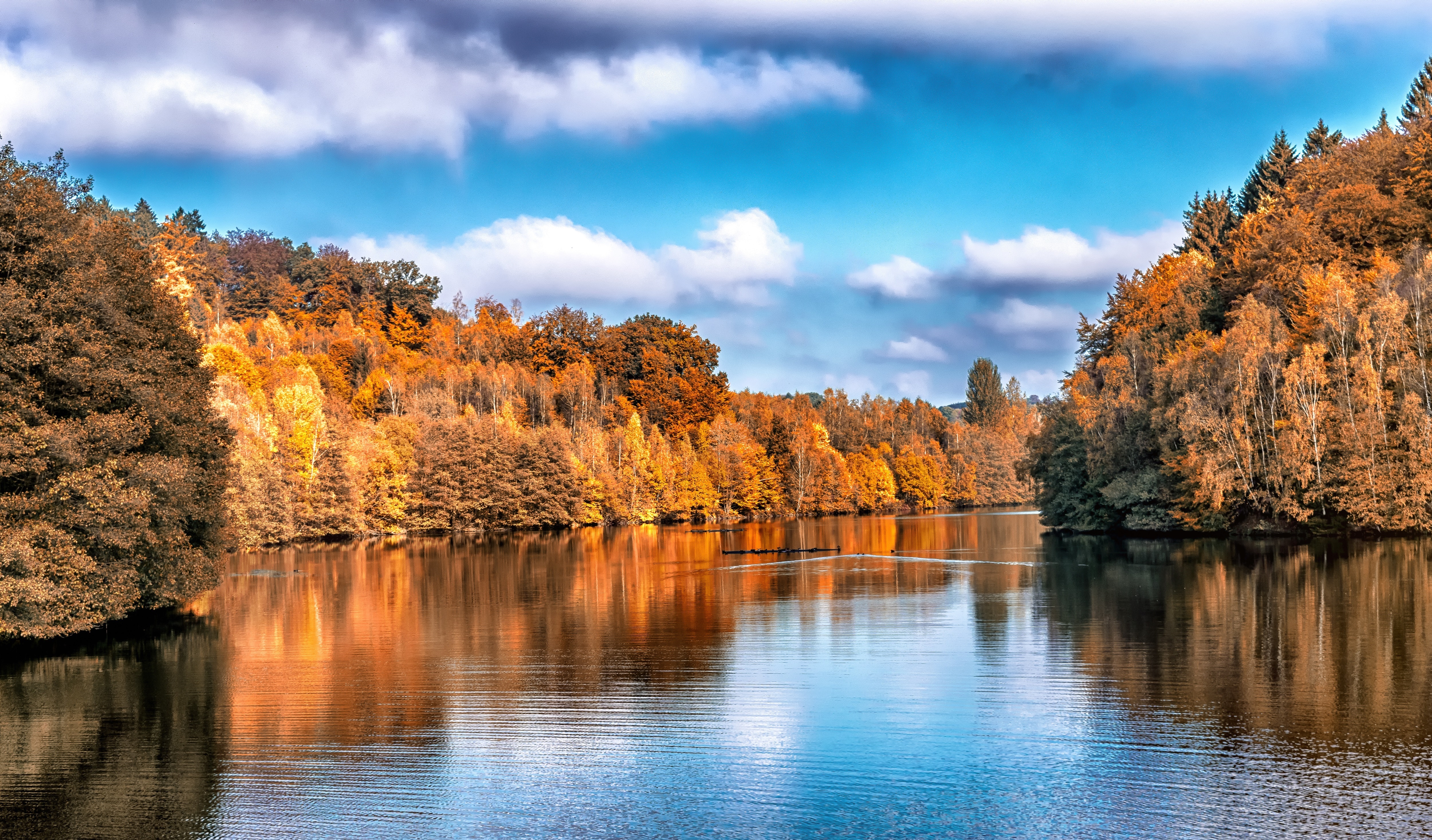 Jezioro, Jesień, Kolorowe, Drzewa