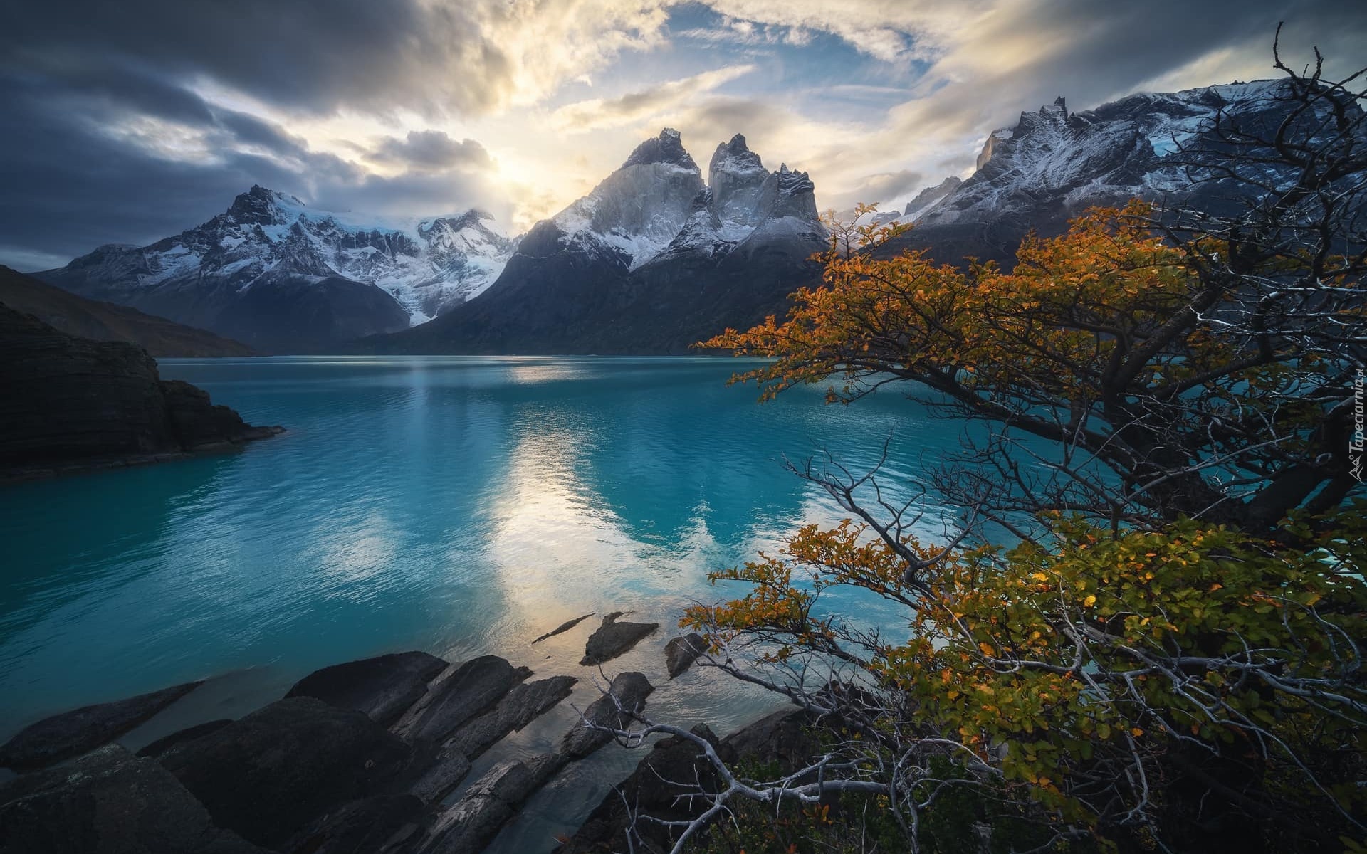 Chile, Park Narodowy Torres del Paine, Góry, Cordillera del Paine, Jezioro, Lake Pehoe, Drzewa, Skały