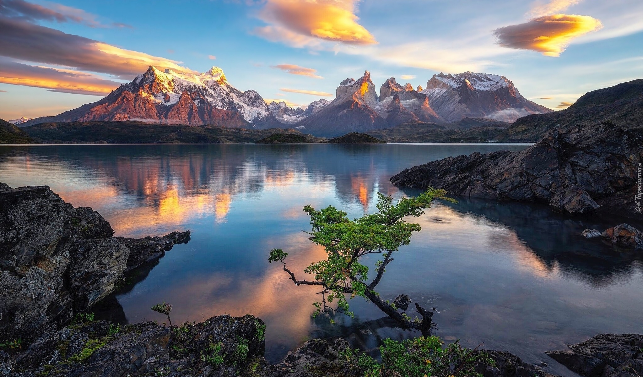 Park Narodowy Torres del Paine, Jezioro Pehoe, Drzewo, Skały, Góry Cordillera del Paine, Patagonia, Chile