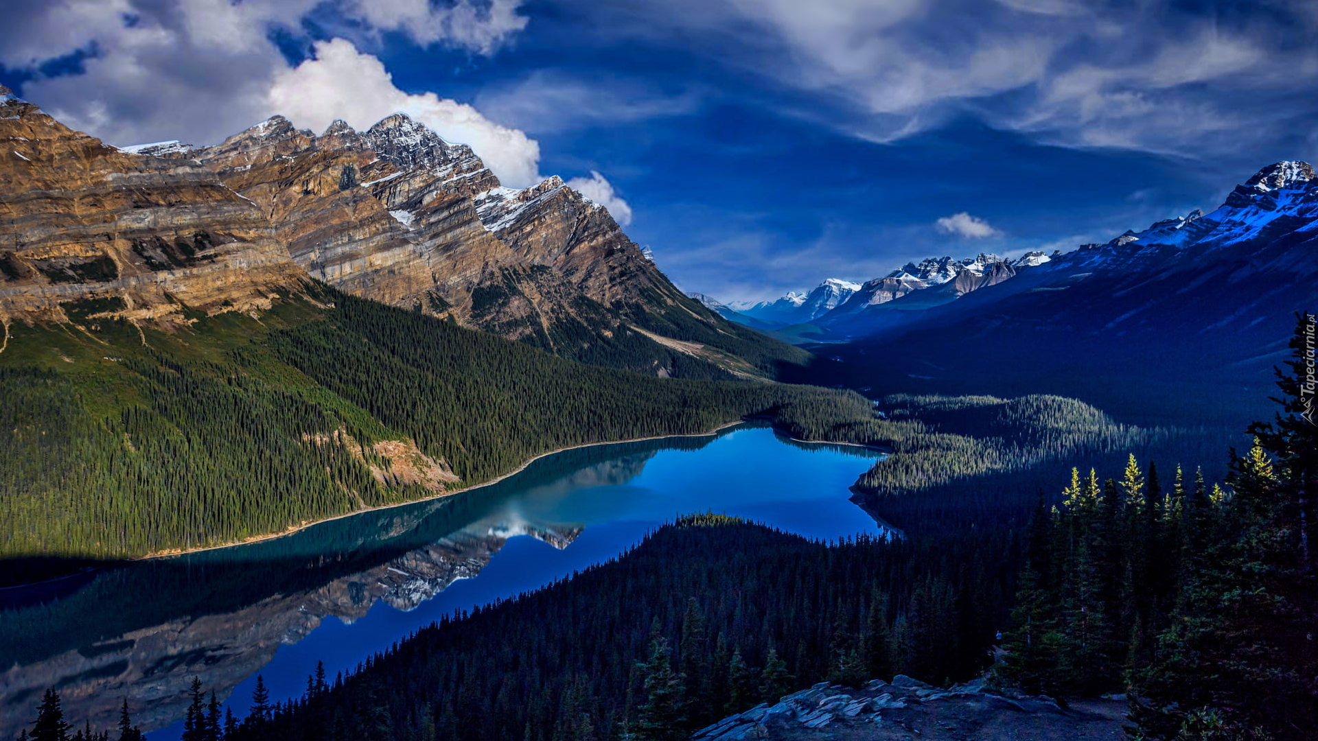 Jezioro, Peyto Lake, Park Narodowy Banff, Góry, Canadian Rockies, Drzewa, Lasy, Chmury, Alberta, Kanada