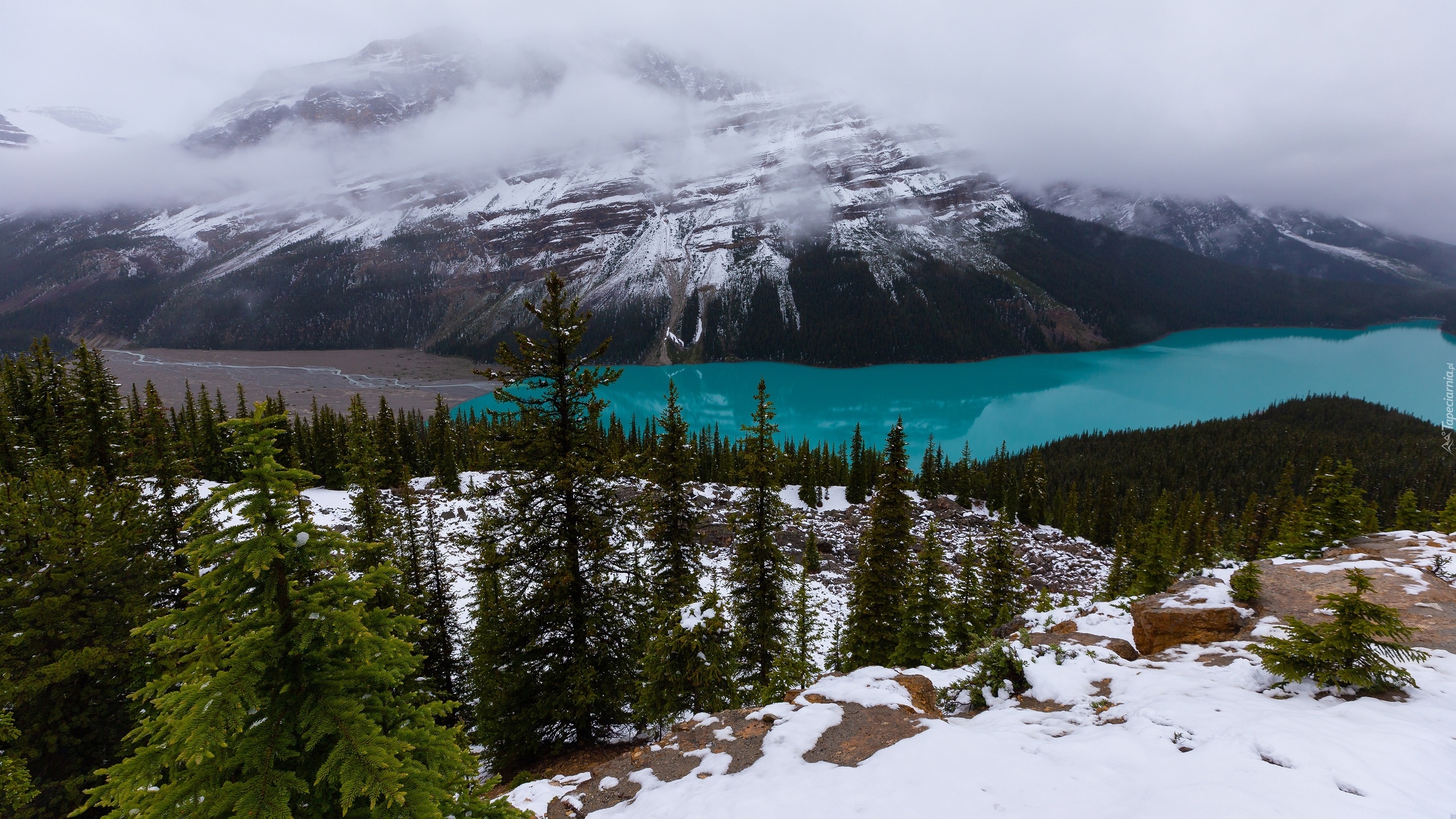Park Narodowy Banff, Jezioro, Peyto Lake, Góry, Lasy, Drzewa, Śnieg, Alberta, Kanada