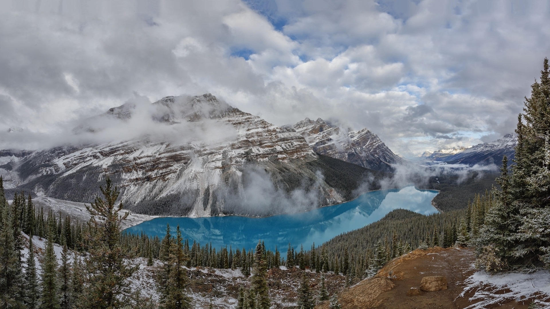 Park Narodowy Banff, Góry Canadian Rockies, Jezioro Peyto, Kanada, Las, Chmury, Mgła