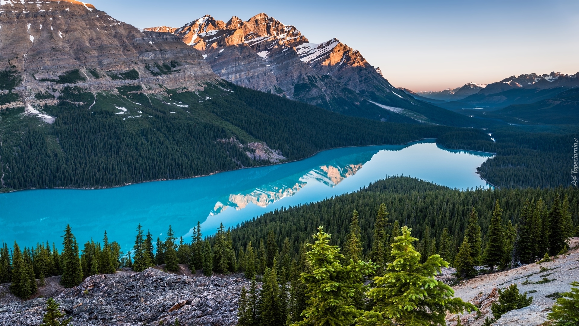 Kanada, Park Narodowy Banff, Jezioro Peyto Lake, Góry Canadian Rockies, Lasy