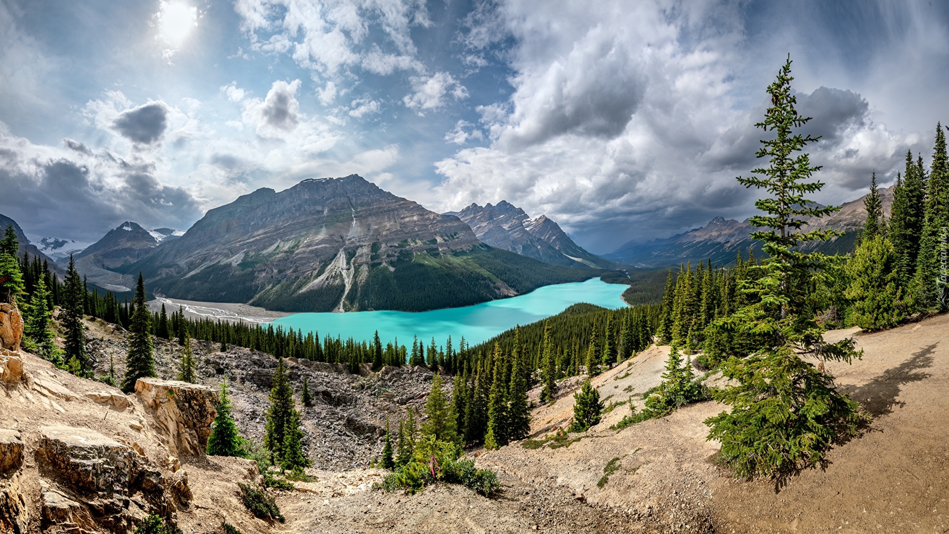 Jezioro, Peyto, Góry, Chmury, Drzewa, Świerki, Prowincja Alberta, Park Narodowy Banff, Kanada
