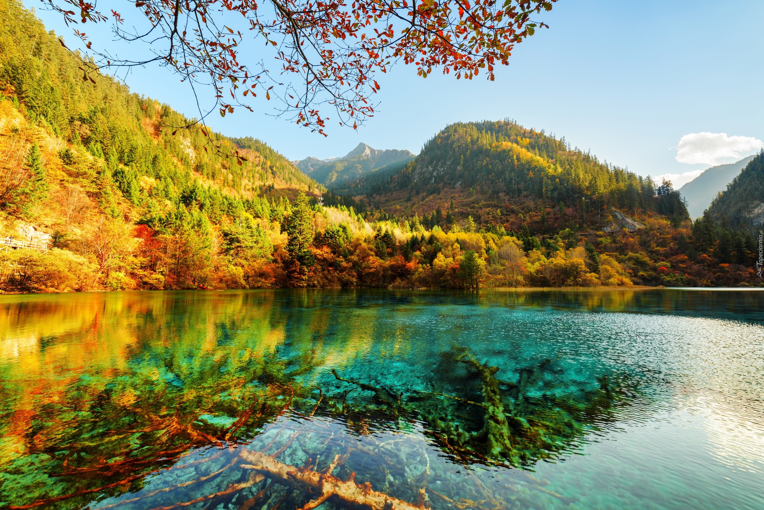 Chiny, Park Narodowy Jiuzhaigou, Jesień, Las, Góry, Jezioro Wu Hua Hai - Pięciu Kwiatów, Drzewa