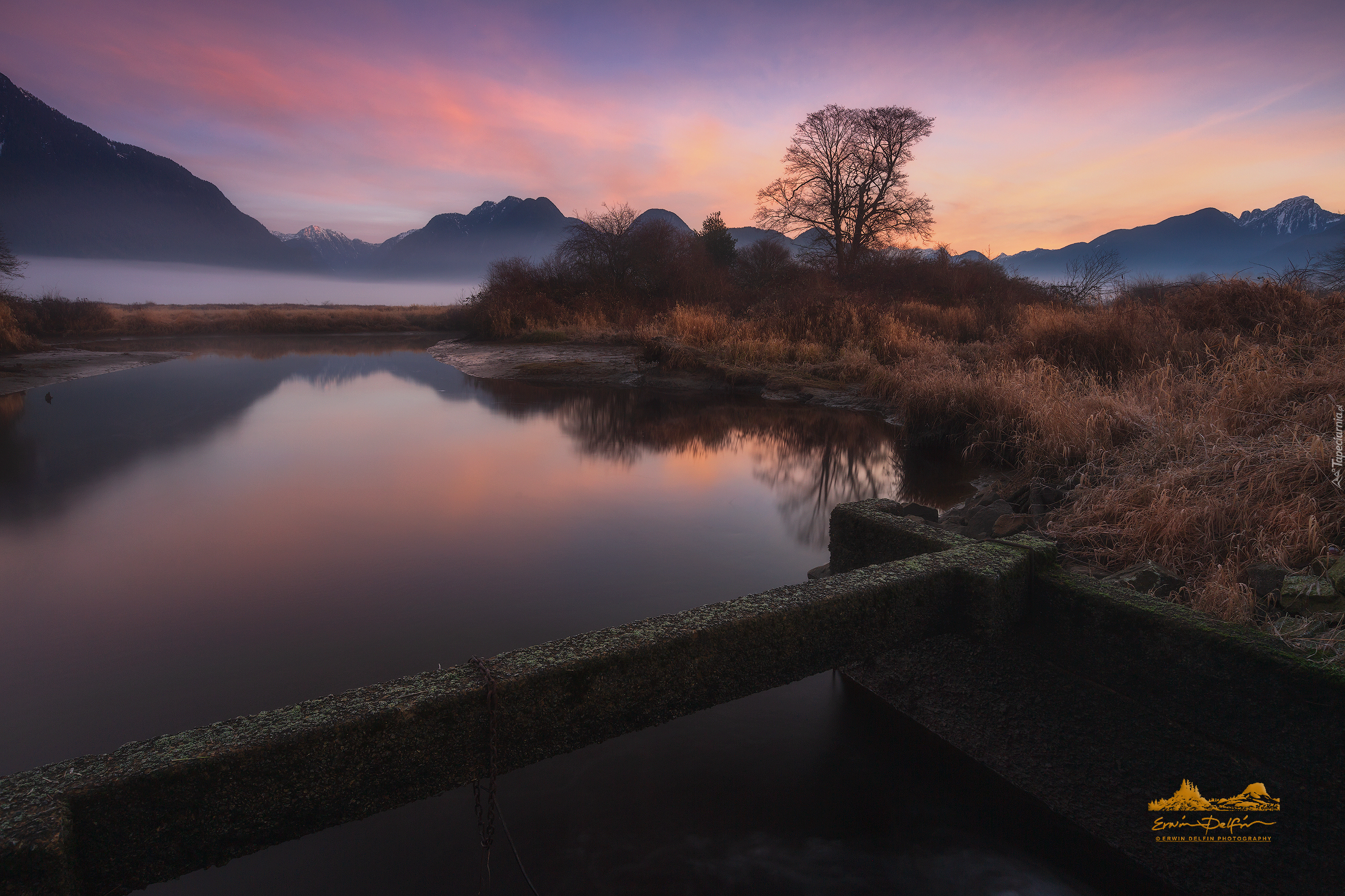 Góry, Mgła, Jezioro Pitt Lake, Drzewa, Kolumbia Brytyjska, Kanada