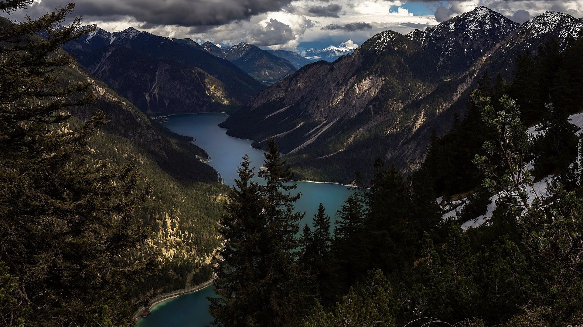 Góry, Wysokie Taury, Jezioro Plansee, Drzewa, Austria