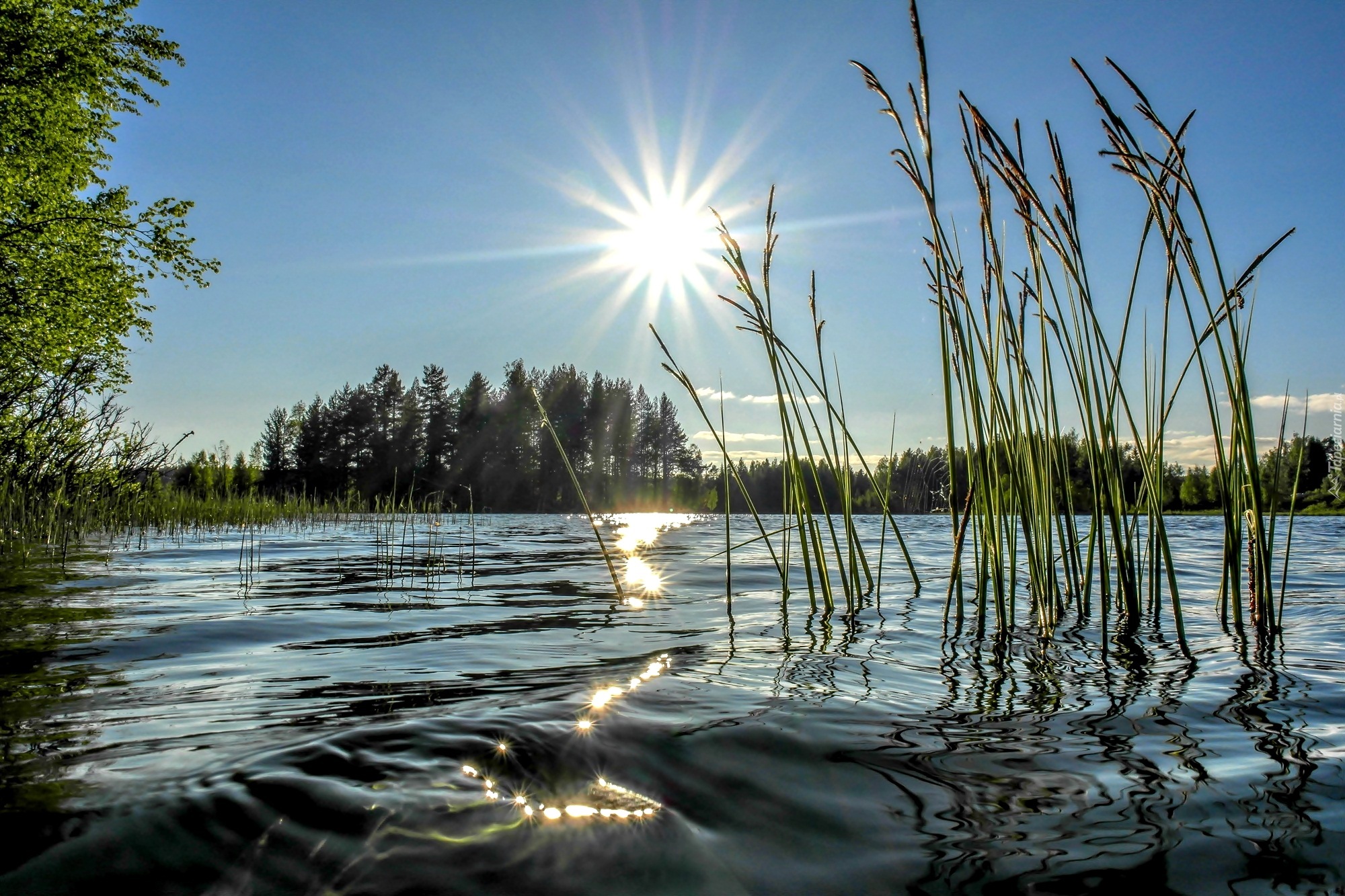 Брезжущий свет. Озеро солнце. Отражение солнца в воде. Пейзаж с отражением в воде. Блики солнца на воде.