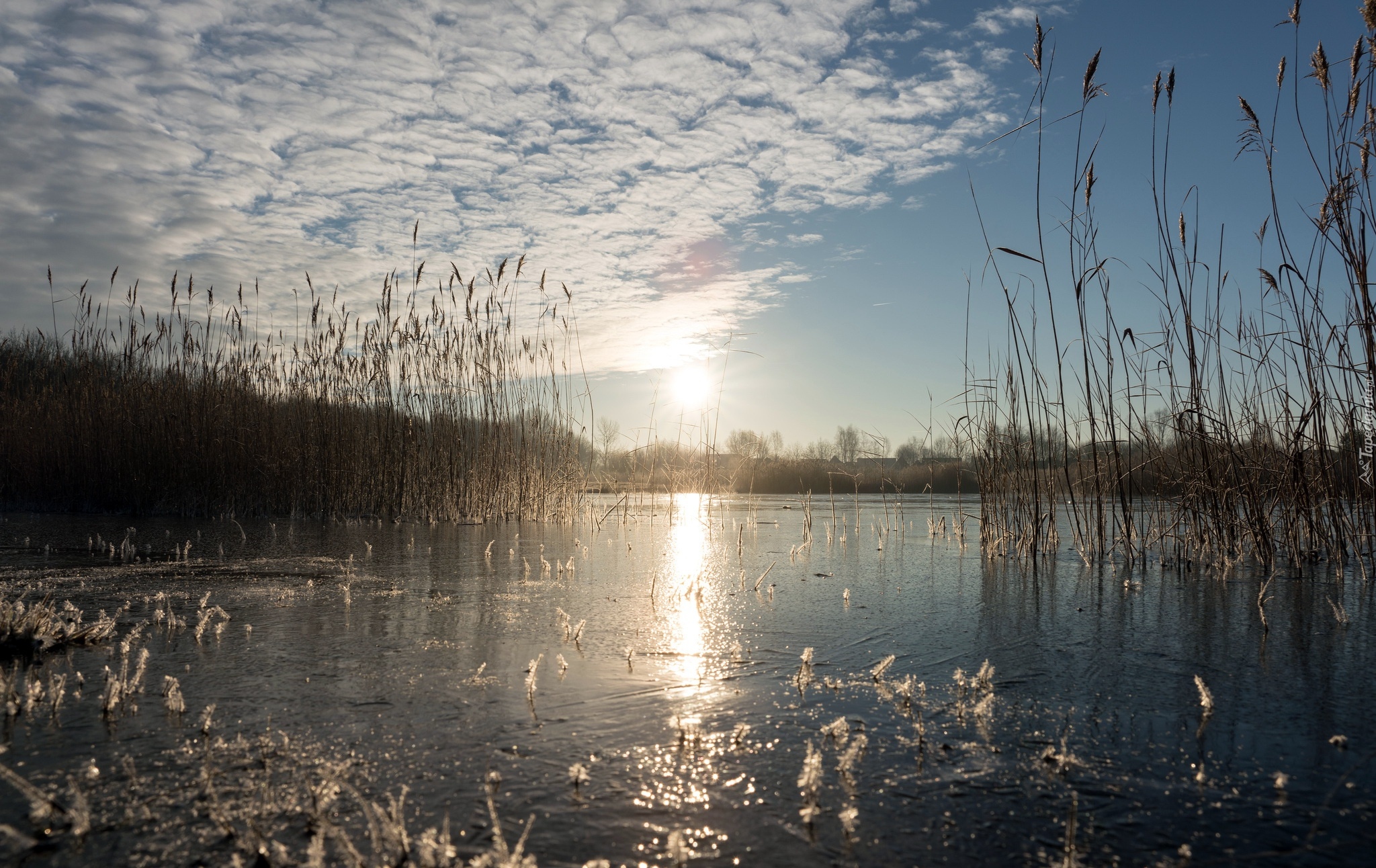 Jezioro, Trawy, Trzciny, Świt, Wschód słońca