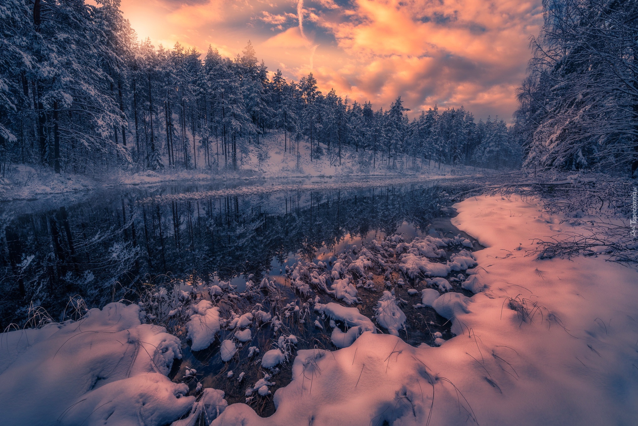 Zima, Drzewa, Las, Jezioro, Zachód słońca, Chmury, Gmina Ringerike, Norwegia