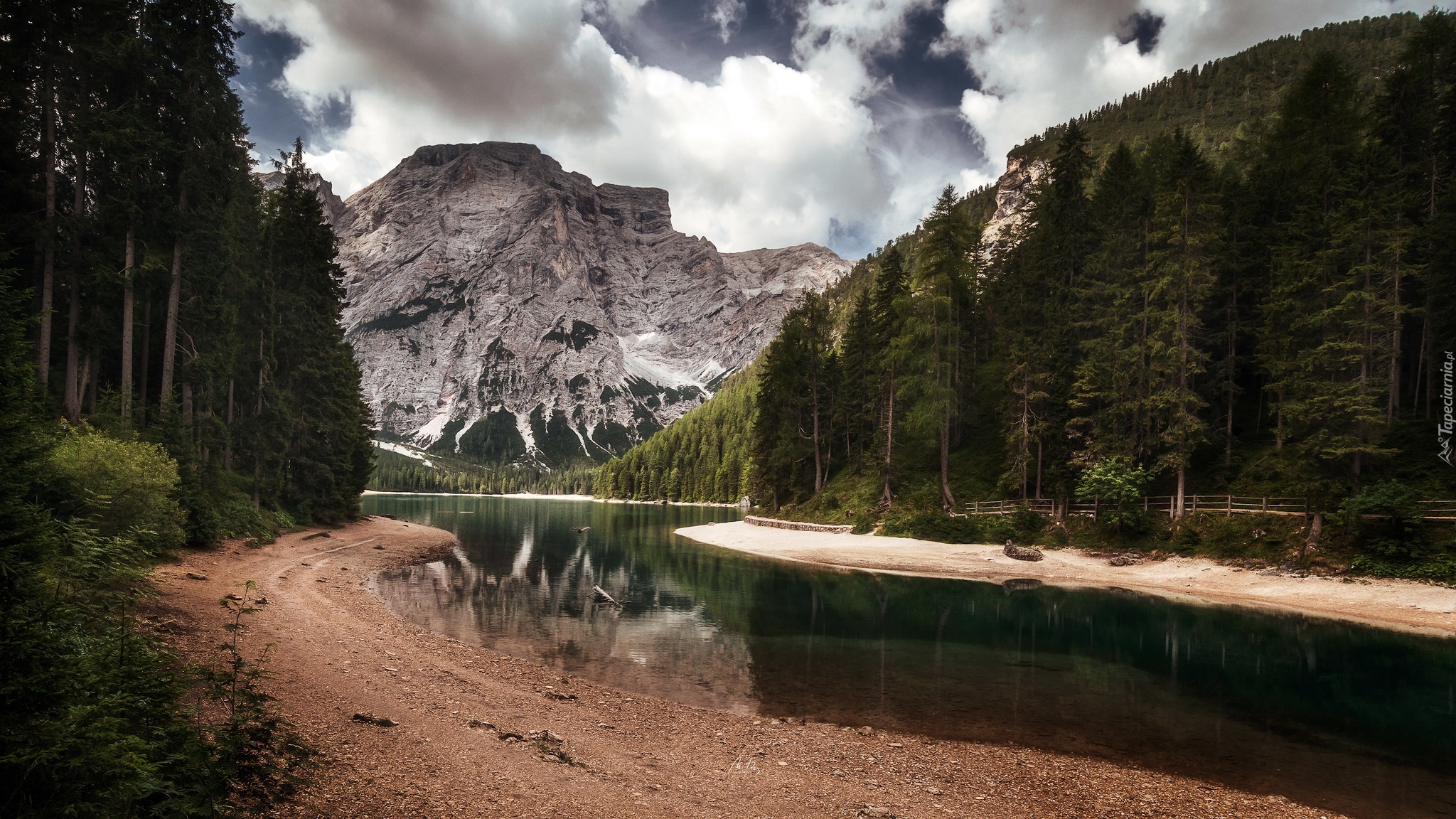 Włochy, Płudniowy Tyrol, Góry Dolomity, Dolina Val Pusteria, Dolina Val di Braies, Jezioro Pragser Wildsee, Las, Drzewa