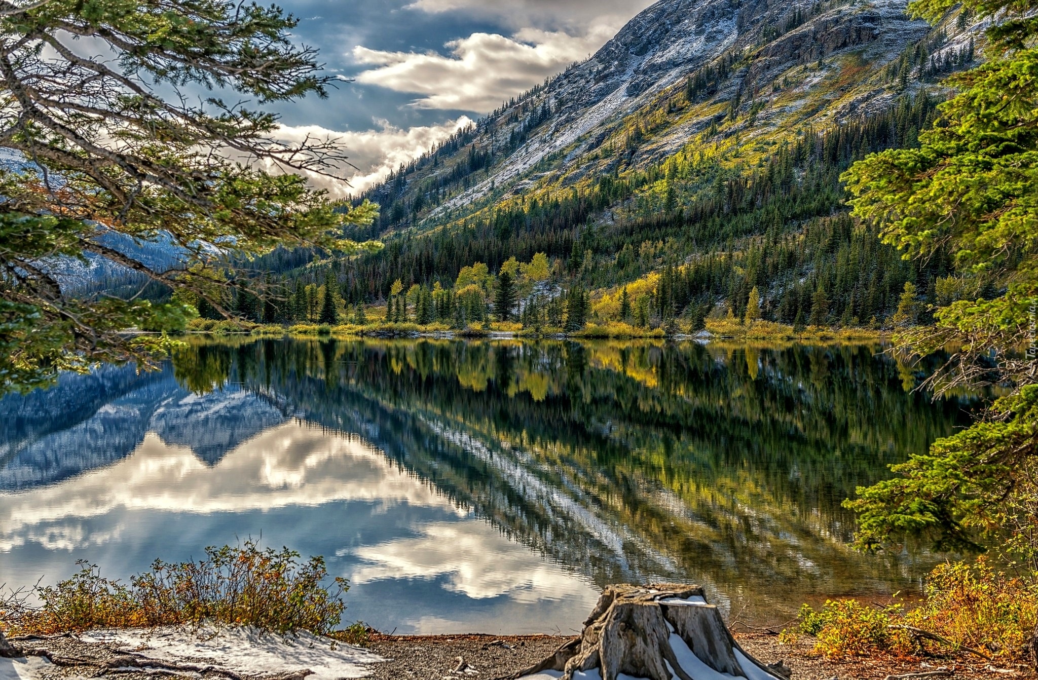 Stany Zjednoczone, Stan Montana, Park Narodowy Glacier, Góry, Jezioro Pray Lake, Świerki, Odbicie