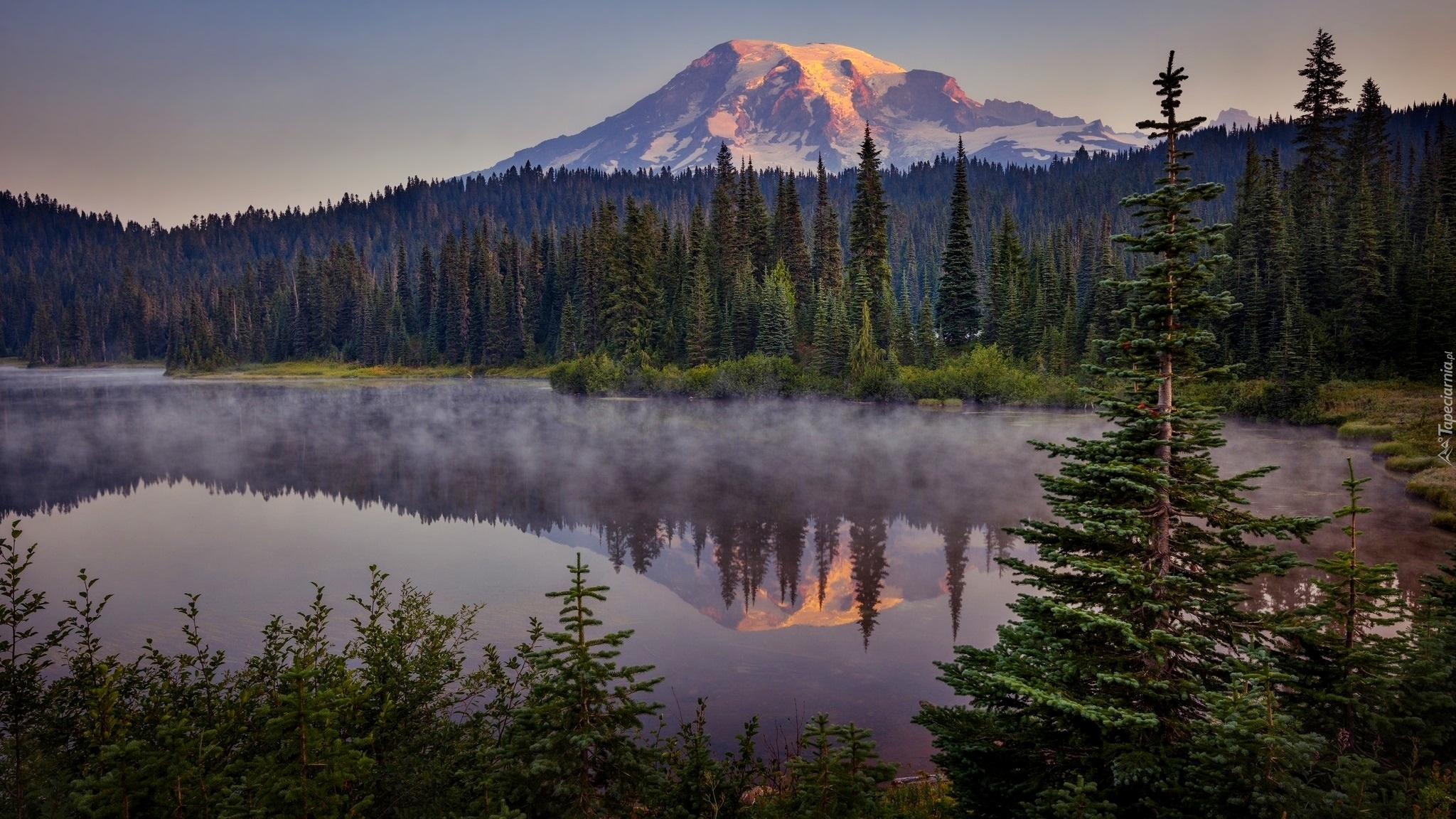 Park Narodowy Mount Rainier, Jezioro Reflection Lakes, Góra, Szczyt Mount Rainier, Stan Waszyngton, Stany Zjednoczone, Las, Drzewa, Świerki, Mgła