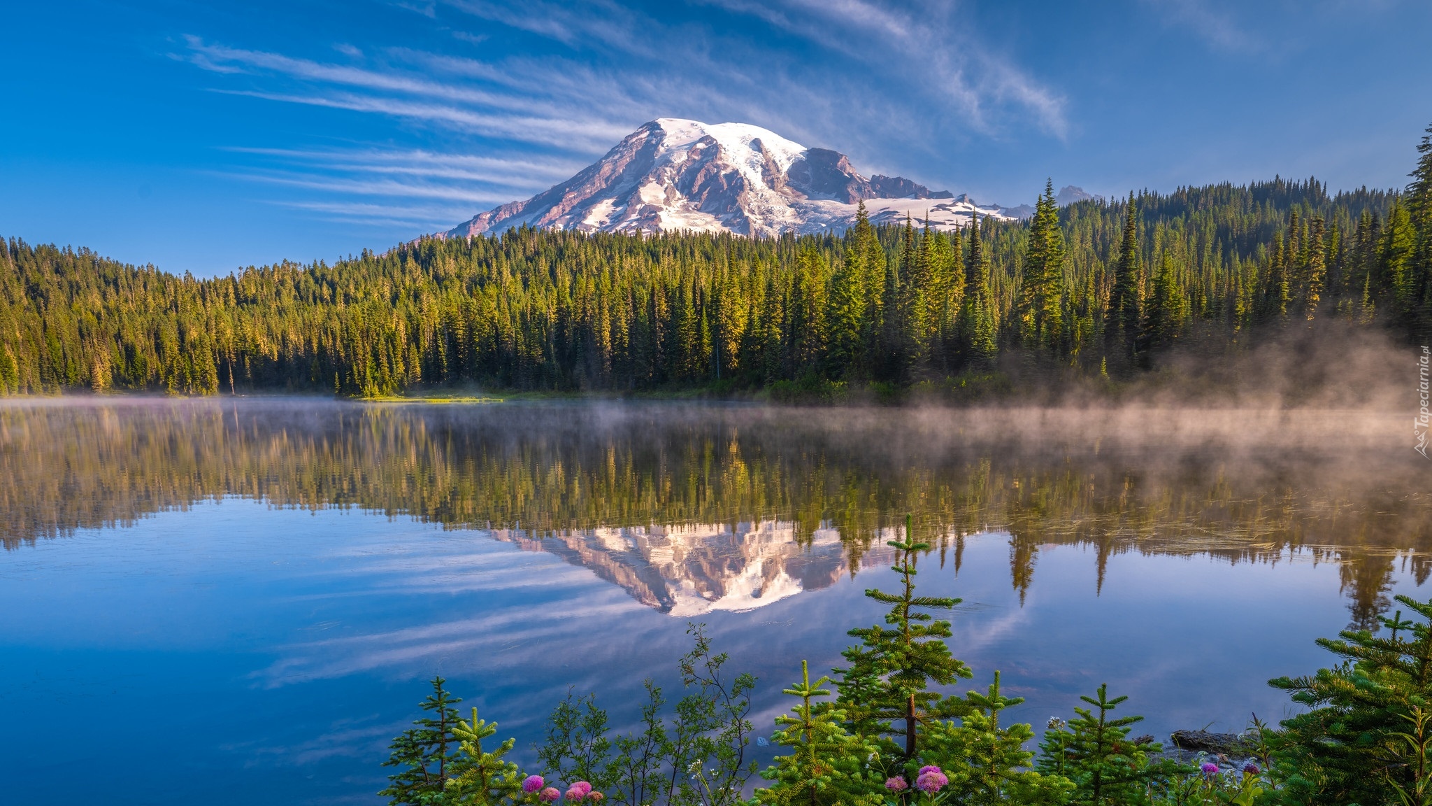 Góra, Stratowulkan, Mount Rainier, Jezioro, Reflection Lakes, Park Narodowy Mount Rainier, Drzewa, Mgła, Stan Waszyngton, Stany Zjednoczone