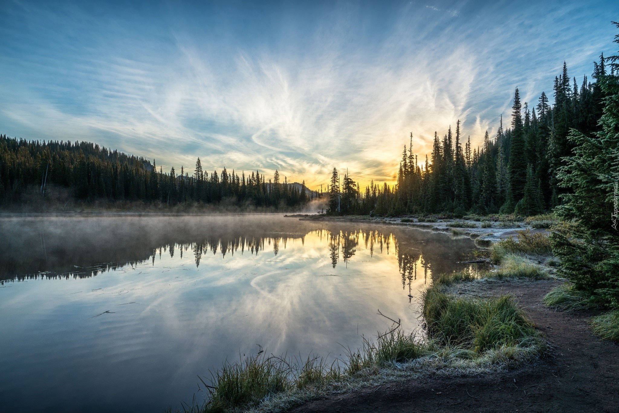 Jezioro Reflection Lakes, Las, Drzewa, Wschód słońca, Poranek, Mgła, Przymrozek, Park Narodowy Mount Rainier, Stan Waszyngton, Stany Zjednoczone