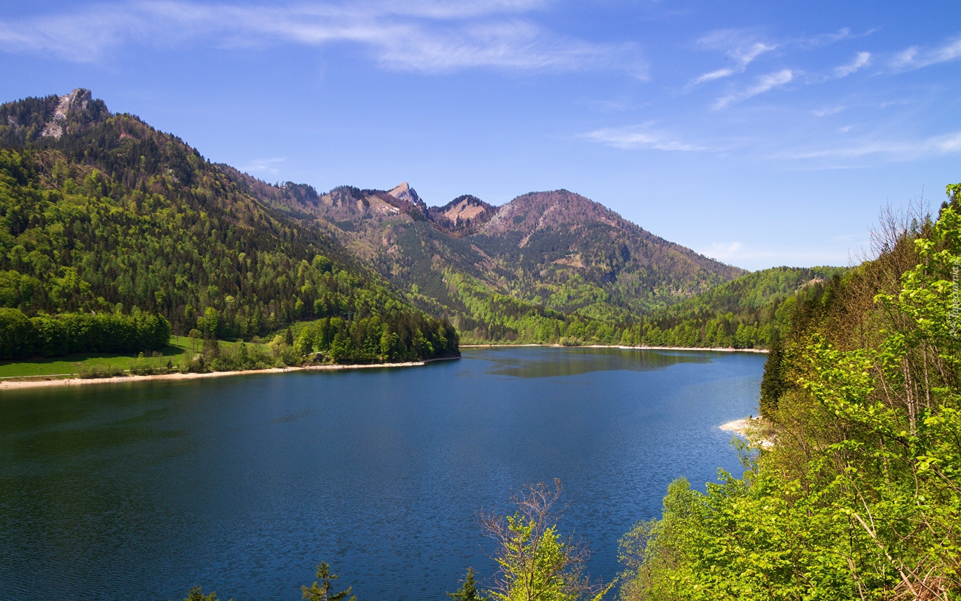 Góry, Jezioro Schwarzensee, Lasy, Drzewa, Austria