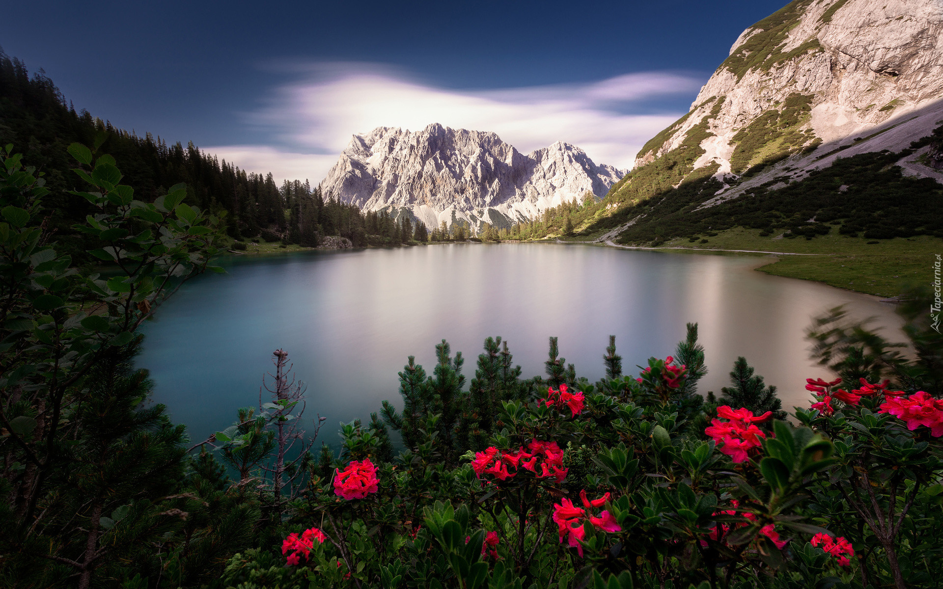 Jezioro Sebensee, Góry, Alpy, Pasmo Mieming, Kwiaty, Tyrol, Austria
