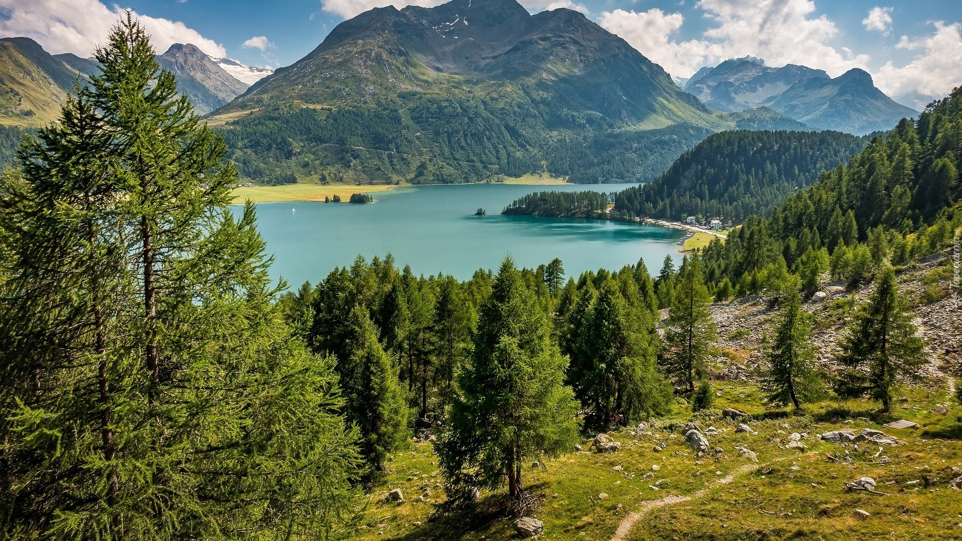 Góry Alpy, Drzewa, Dolina Engadyna, Jezioro Silsersee, Szczyt Piz da la Margna, Kanton Gryzonia, Szwajcaria