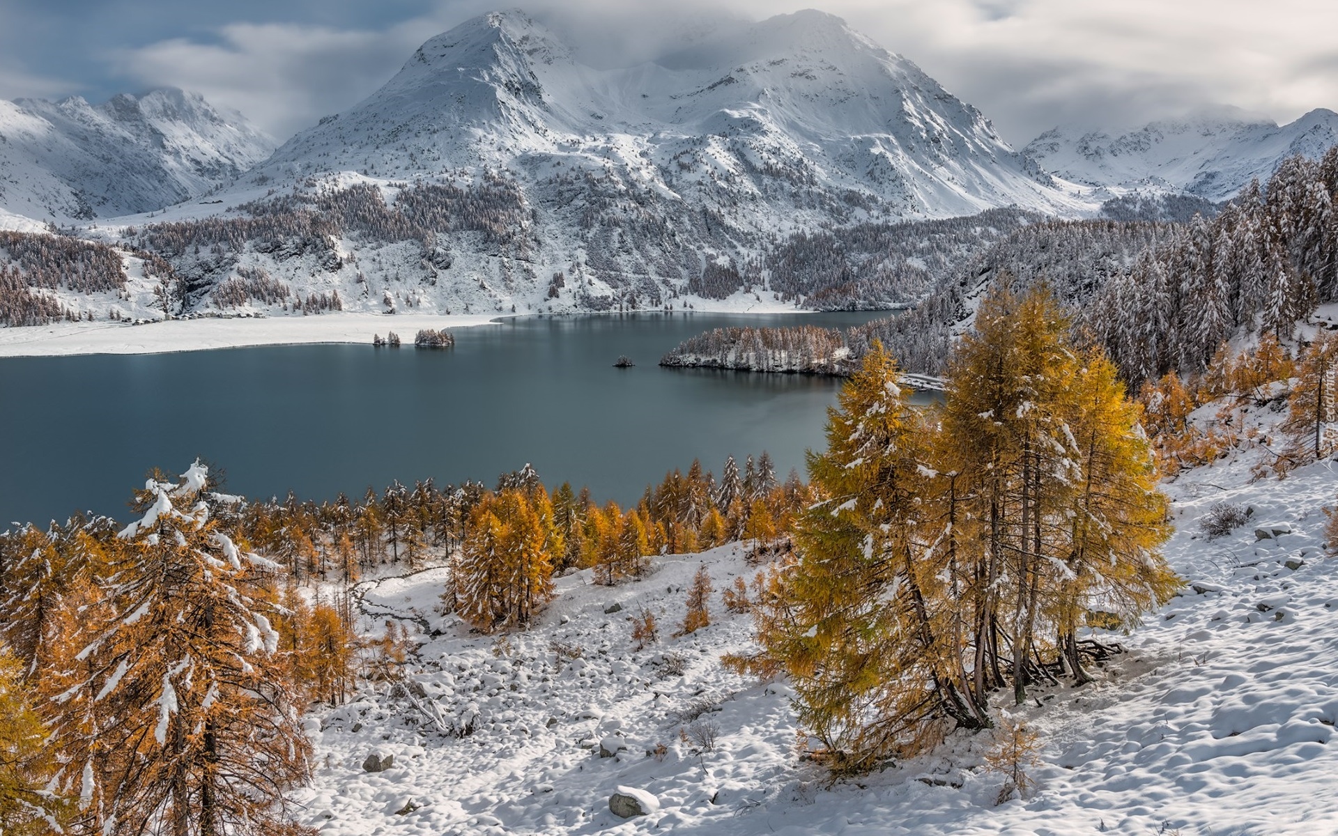 Szwajcaria, Dolina Engadyna, Jezioro Silsersee, Kamienie, Góry, Alpi del Bernina, Las, Drzewa, Zima