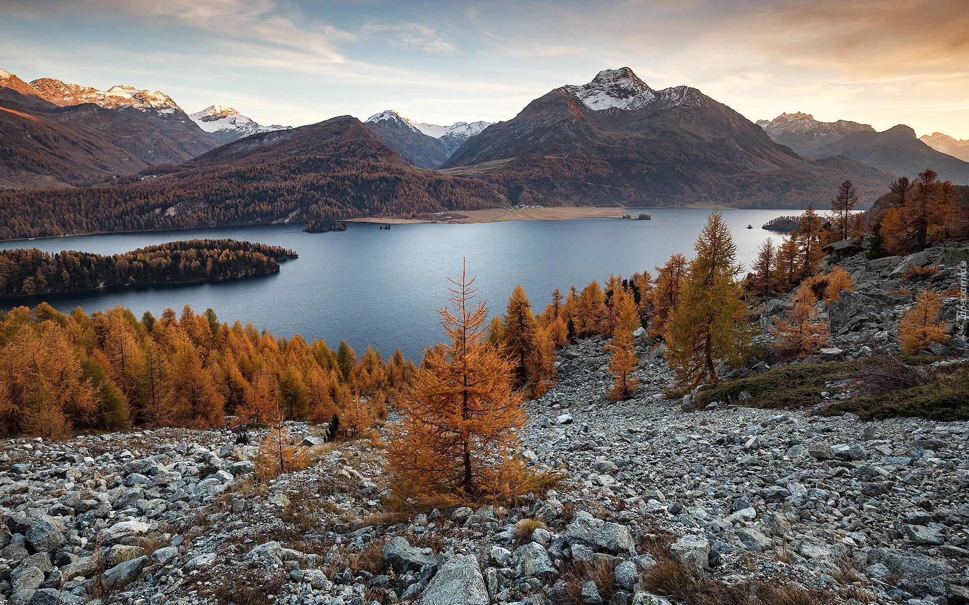 Szwajcaria, Dolina Engadyna, Jezioro Silsersee, Kamienie, Góry Alpi del Bernina, Las, Drzewa, Jesień