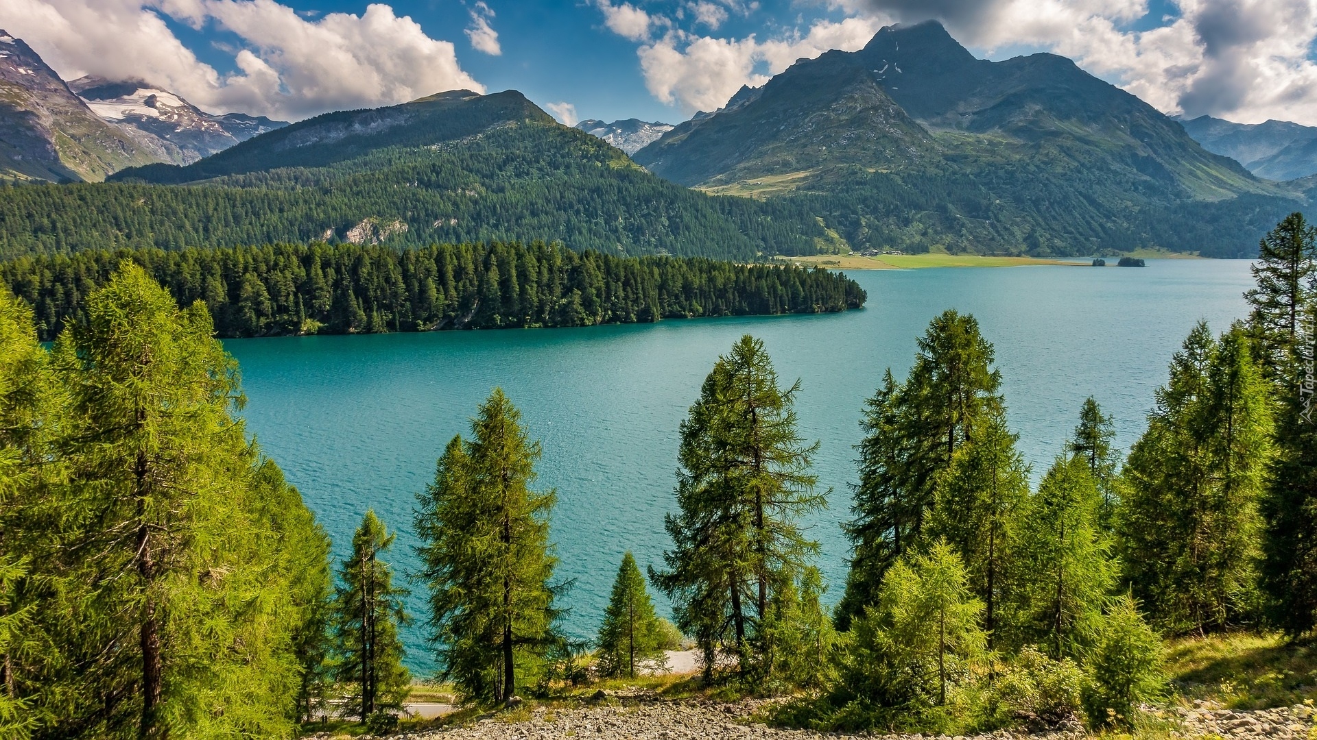 Góry, Alpy Bernina, Szczyt Piz da la Margna, Jezioro, Silsersee, Drzewa, Dolina Engadyna, Kanton Gryzonia, Szwajcaria