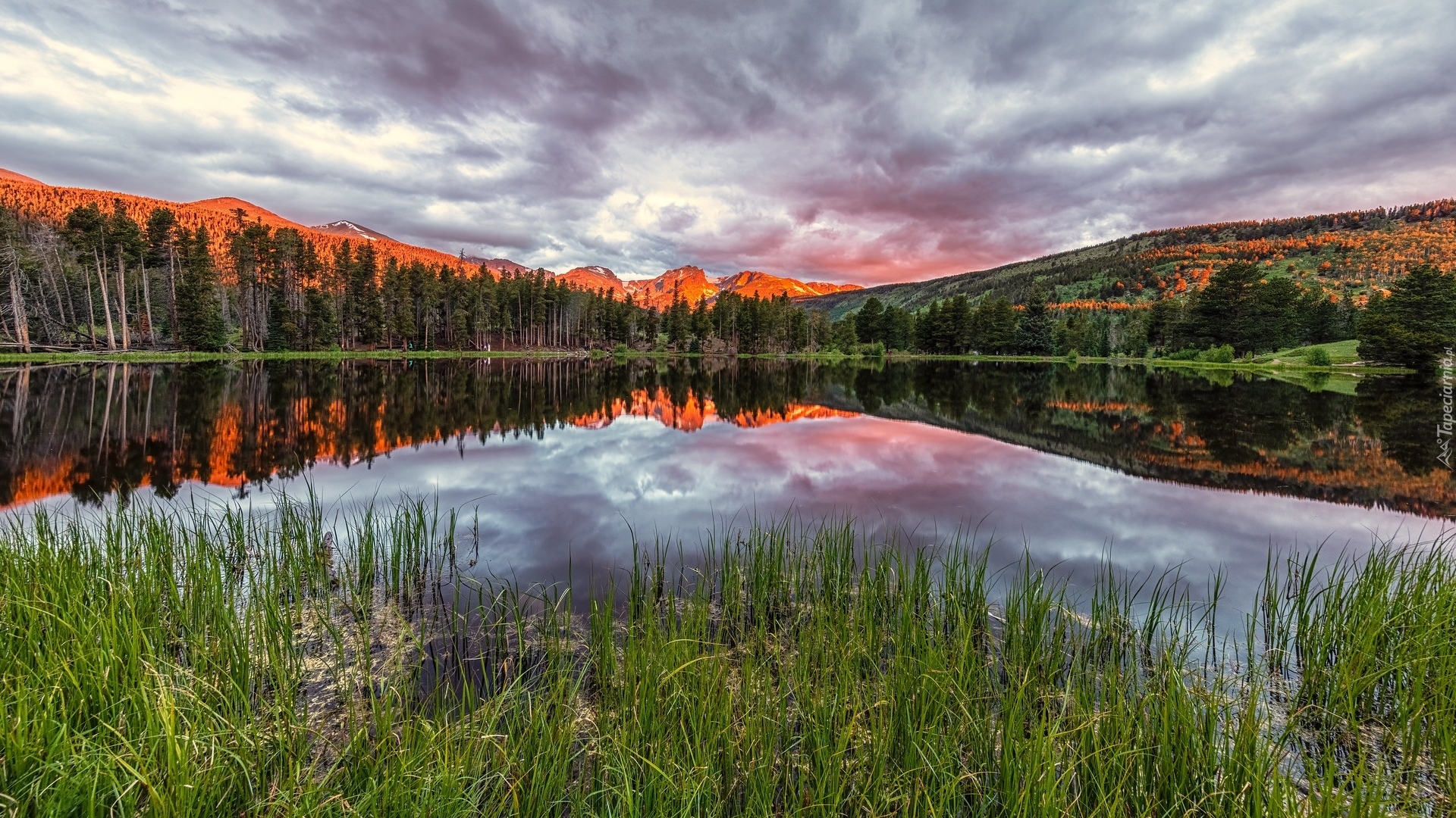 Góry, Jezioro, Sprague Lake, Trawa, Park Narodowy Gór Skalistych, Kolorado, Stany Zjednoczone