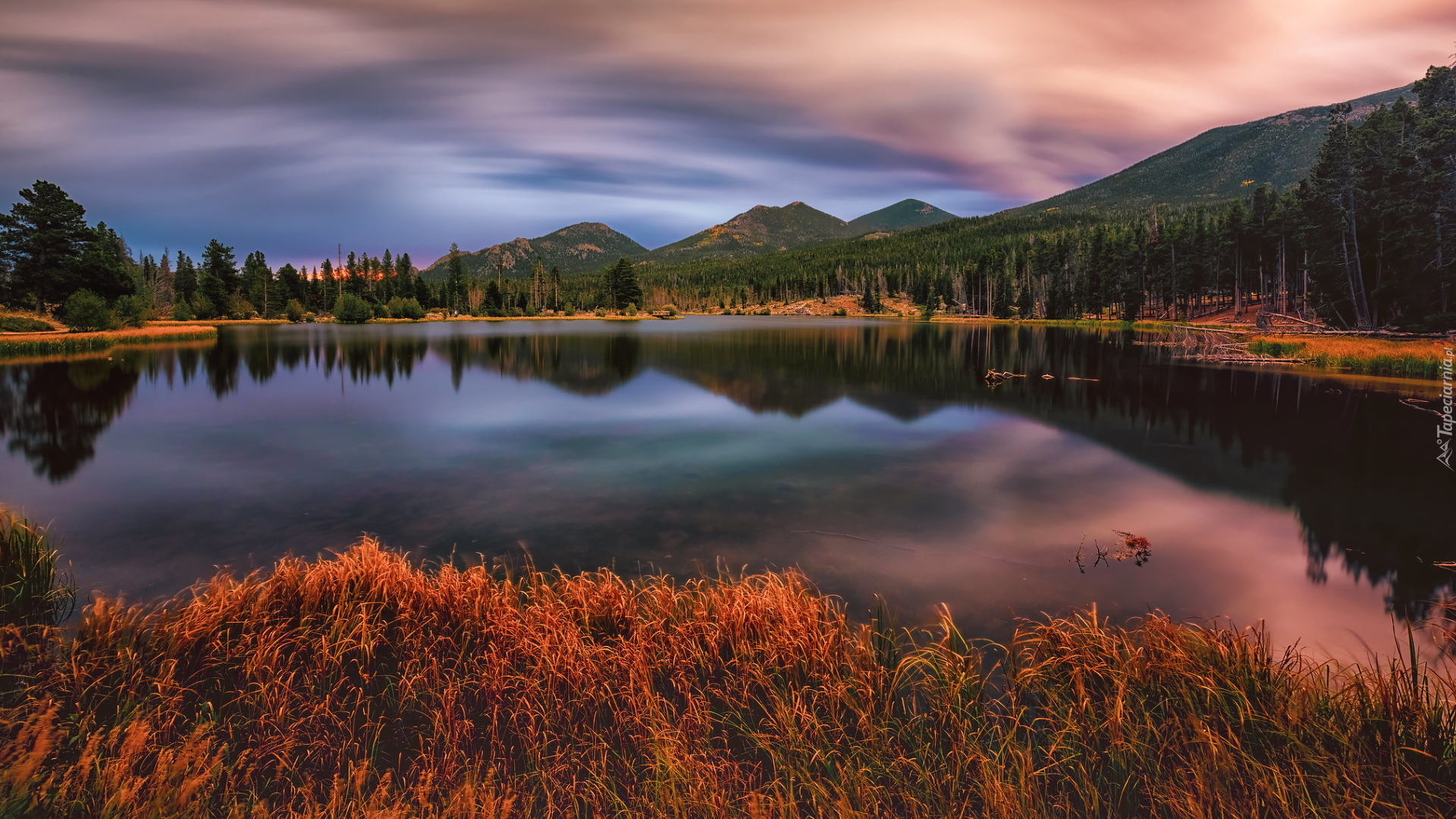 Jezioro, Sprague Lake, Góry, Trawa, Park Narodowy Gór Skalistych, Kolorado, Stany Zjednoczone