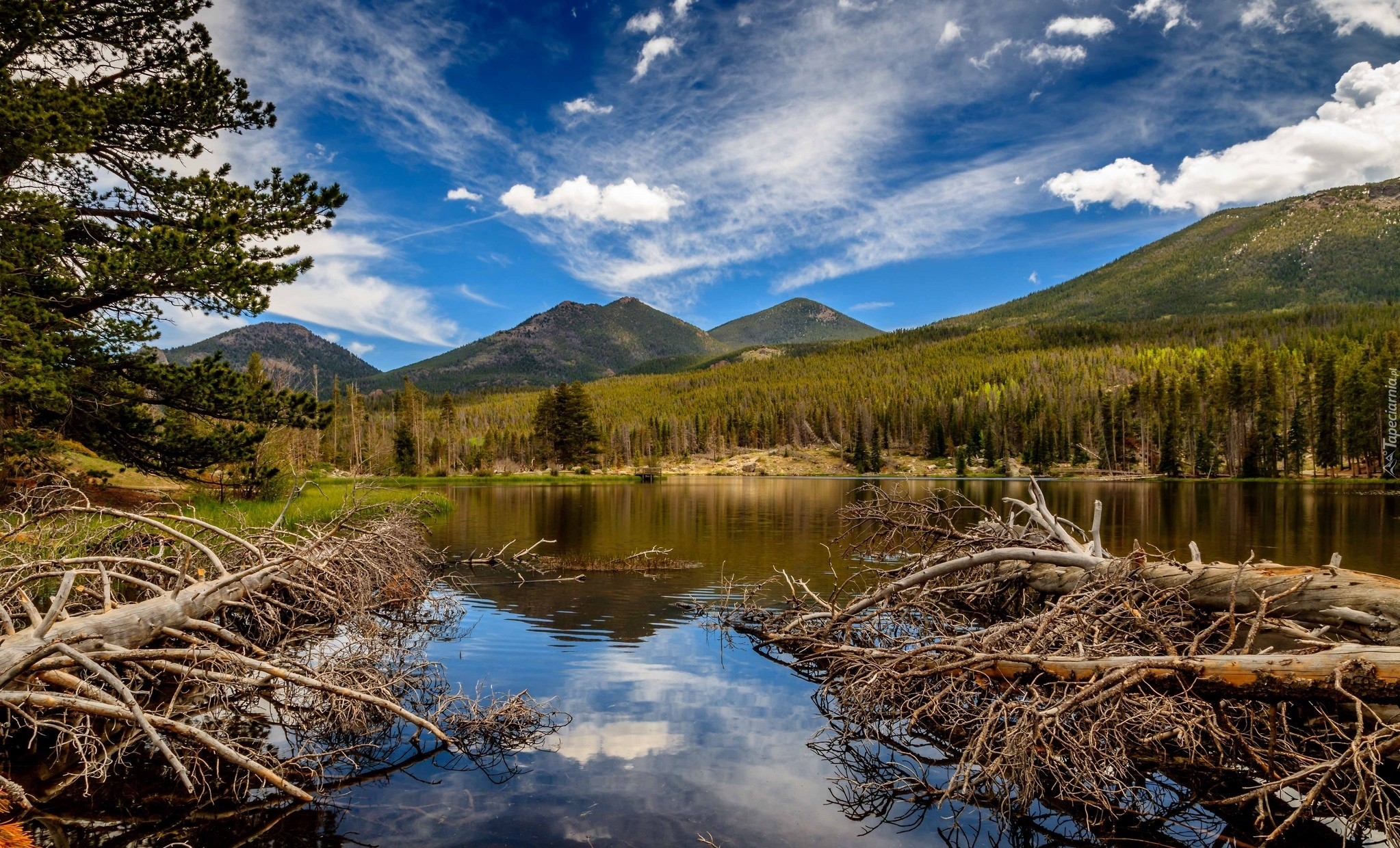 Góry, Jezioro Sprague Lake, Park Narodowy Gór Skalistych, Powalone, Drzewa, Chmury, Stan Kolorado, Stany Zjednoczone