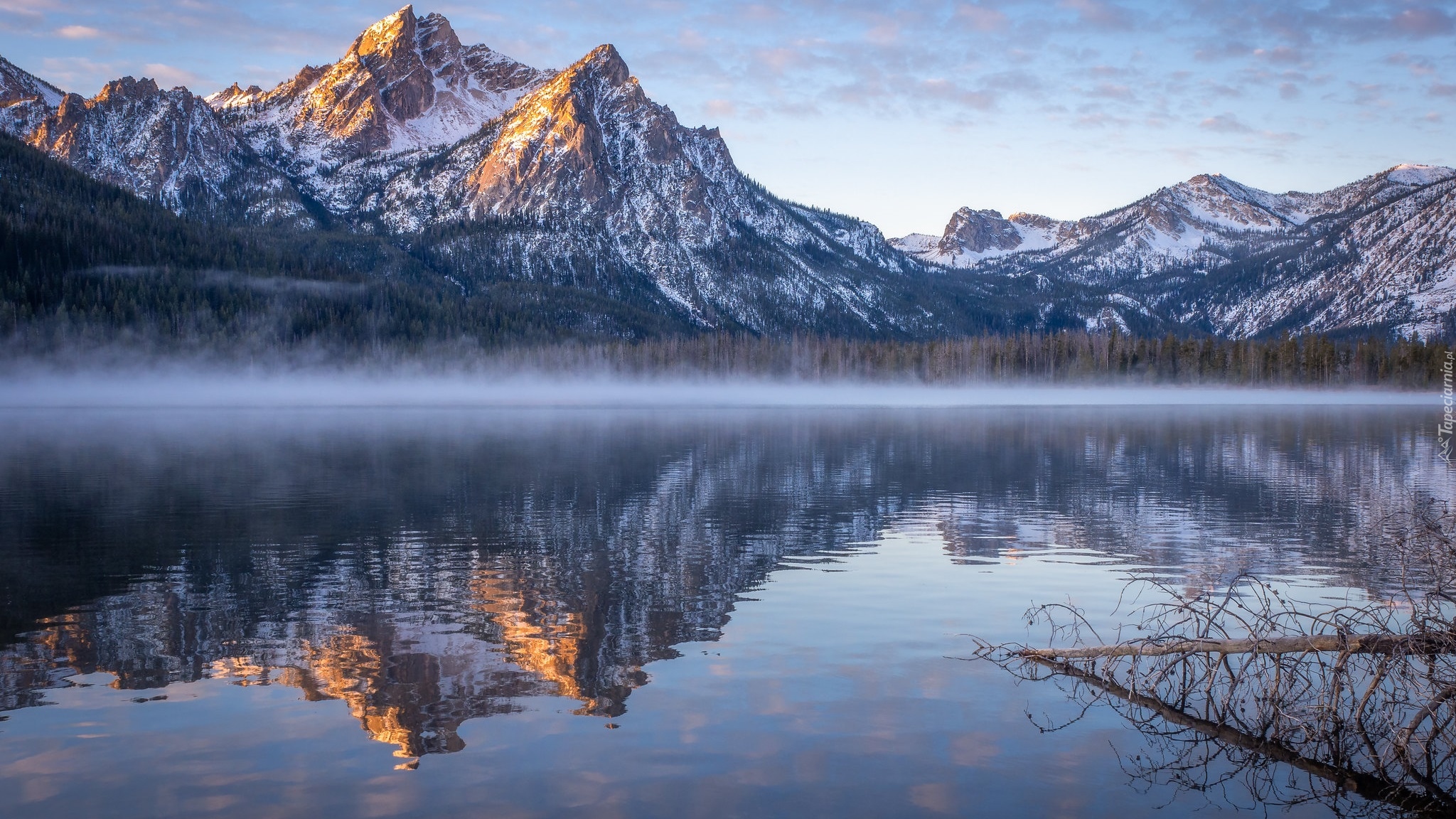 Góry, Sawtooth Range, Góra, McGown Peak, Śnieg, Jezioro, Stanley Lake, Mgła, Powalone Drzewo, Odbicie, Stan Idaho, Stany Zjednoczone