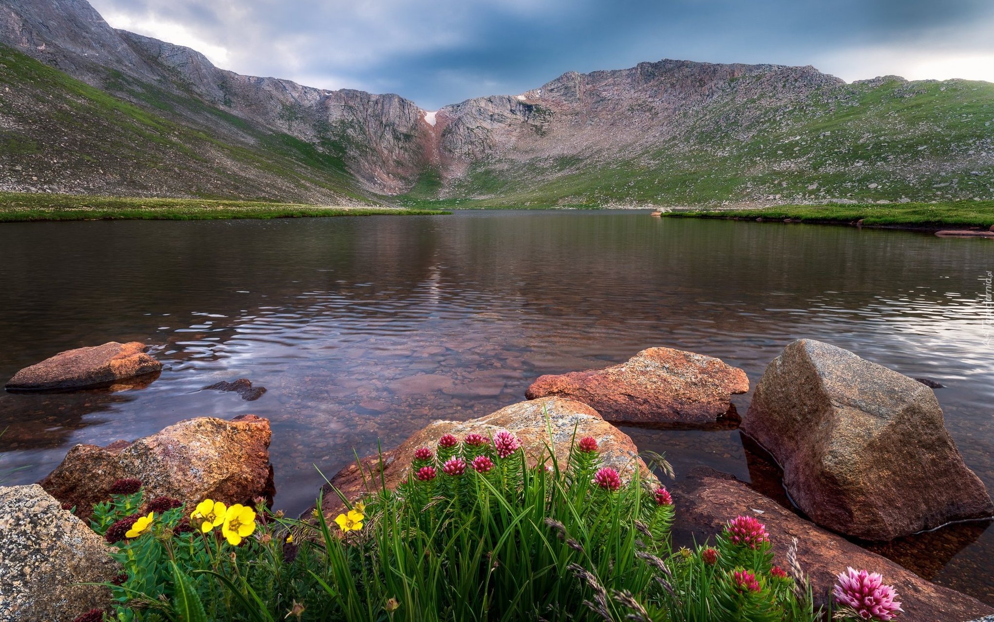 Góry, Mount Evans, Jezioro, Summit Lake, Kamienie, Kwiaty, Stan Kolorado, Stany Zjednoczone