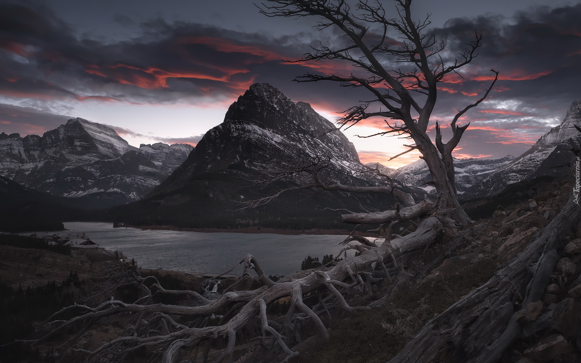 Jezioro, Swiftcurrent Lake, Góry, Park Narodowy Glacier, Bezlistne, Powalone, Drzewo, Zachód słońca, Montana, Stany Zjednoczone