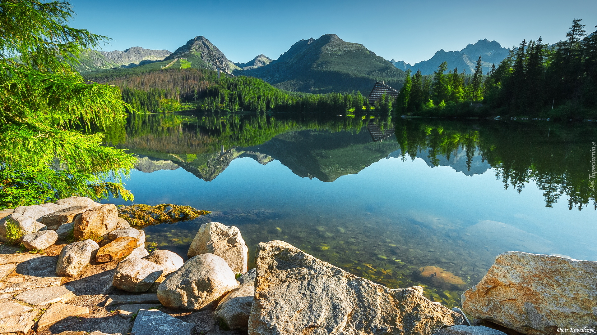 Jezioro Szczyrbskie, Góry, Tatry Wysokie, Drzewa, Lasy, Kamienie, Miejscowość Szczyrbskie Jezioro, Słowacja