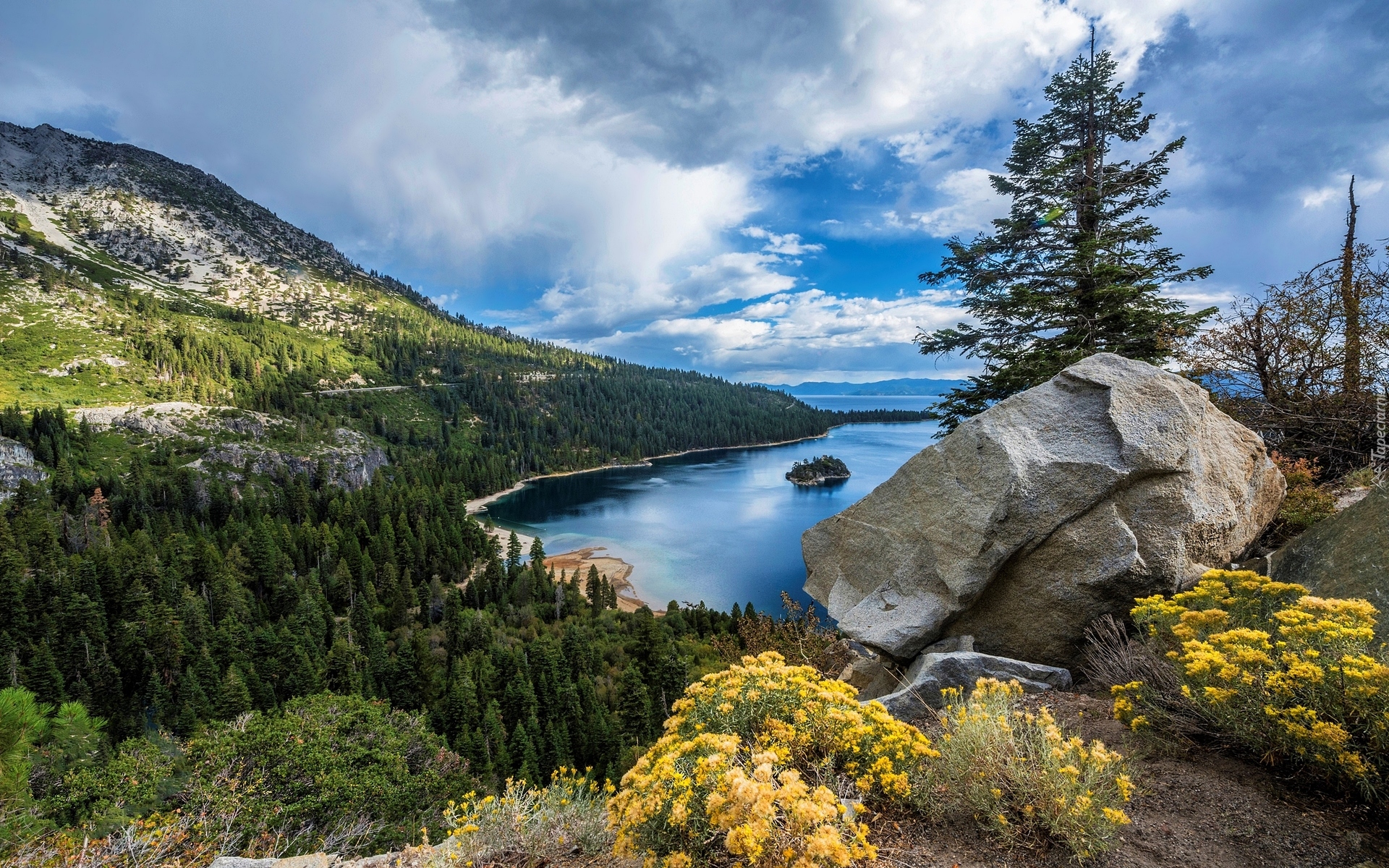 Stany Zjednoczone, Stan Kalifornia, Jezioro Tahoe, Góry Sierra Nevada, Lasy, Kamienie, Kwiaty