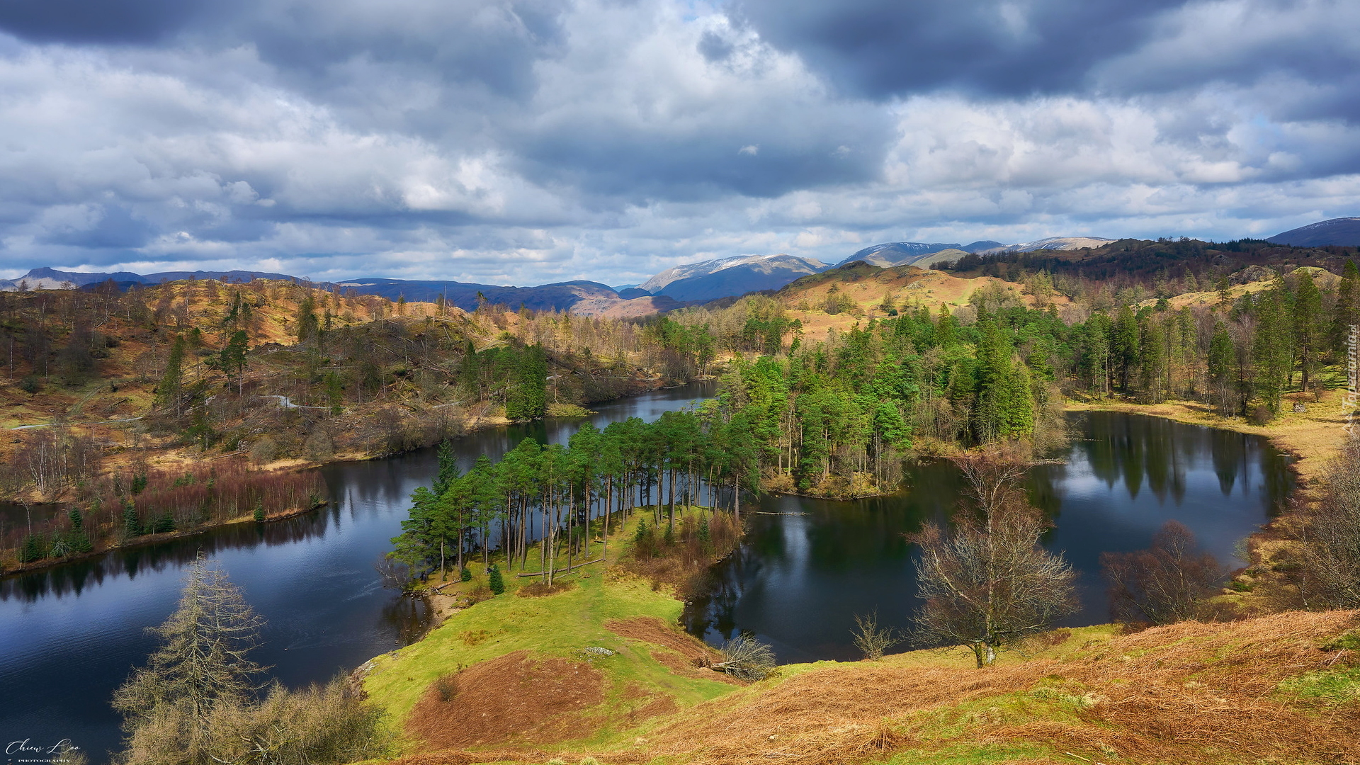 Park Narodowy Lake District, Wzgórza, Drzewa, Lasy, Jezioro Tarn Hows, Anglia
