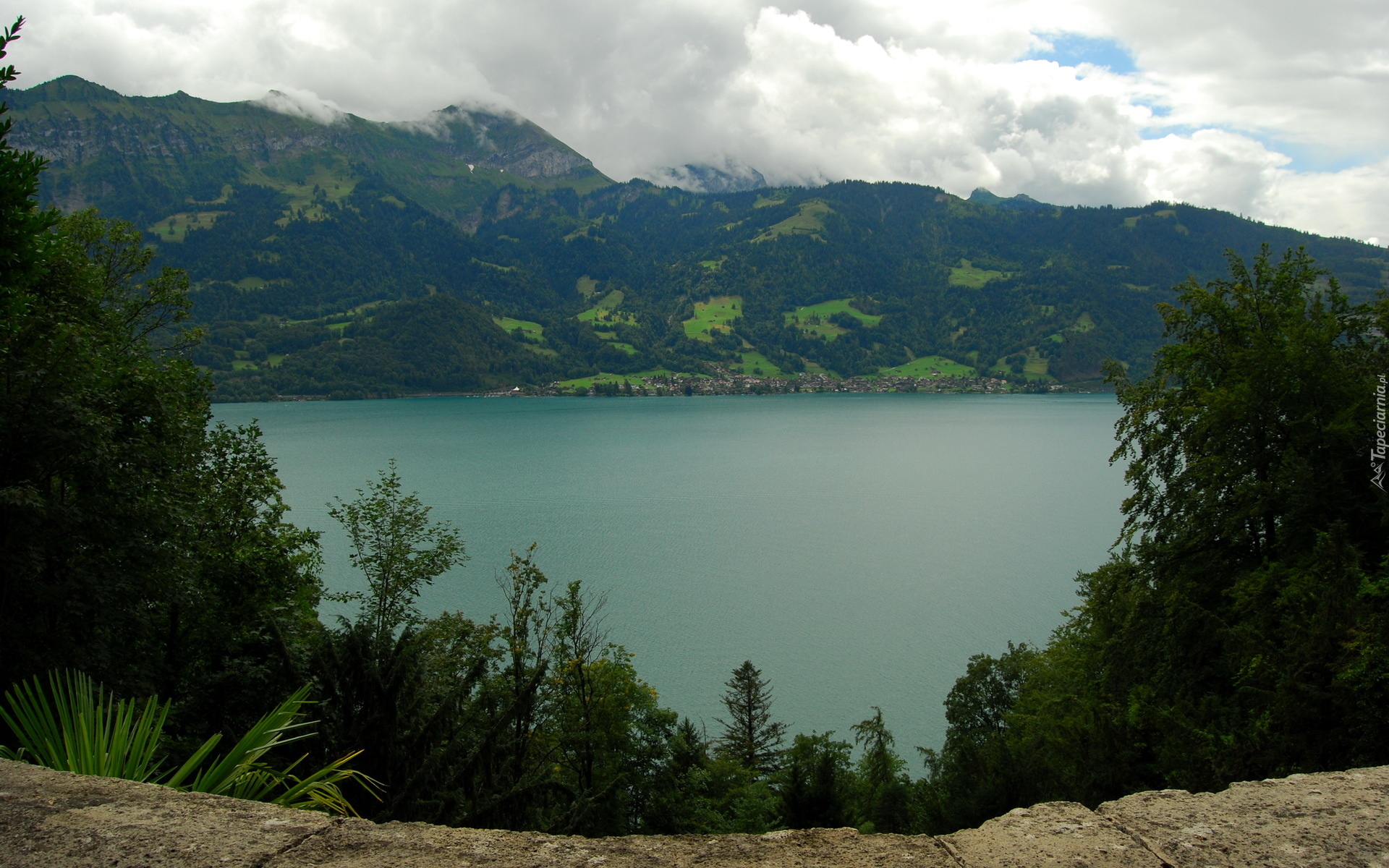 Góry, Alpy Berneńskie, Jezioro Thunersee, Drzewa, Kanton Berno, Szwajcaria