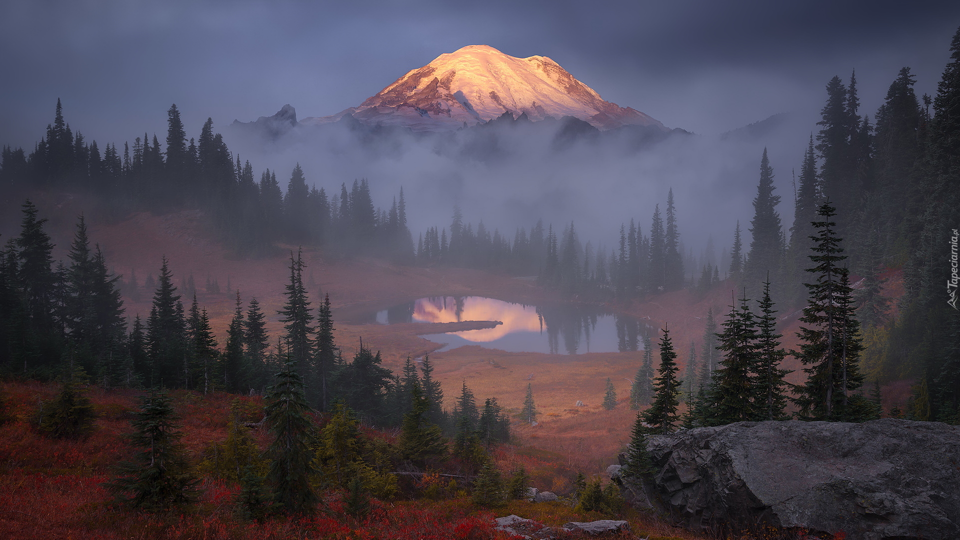 Park Narodowy Mount Rainier, Góry, Stratowulkan Mount Rainier, Mgła, Drzewa, Jezioro Tipsoo, Stan Waszyngton, Stany Zjednoczone