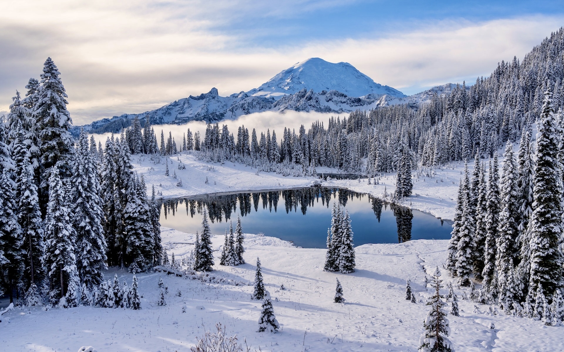 Stany Zjednoczone, Góry, Stratowulkan Mount Rainier, Park Narodowy Mount Rainier, Jezioro, Tipsoo Lake, Zima, Śnieg, Drzewa