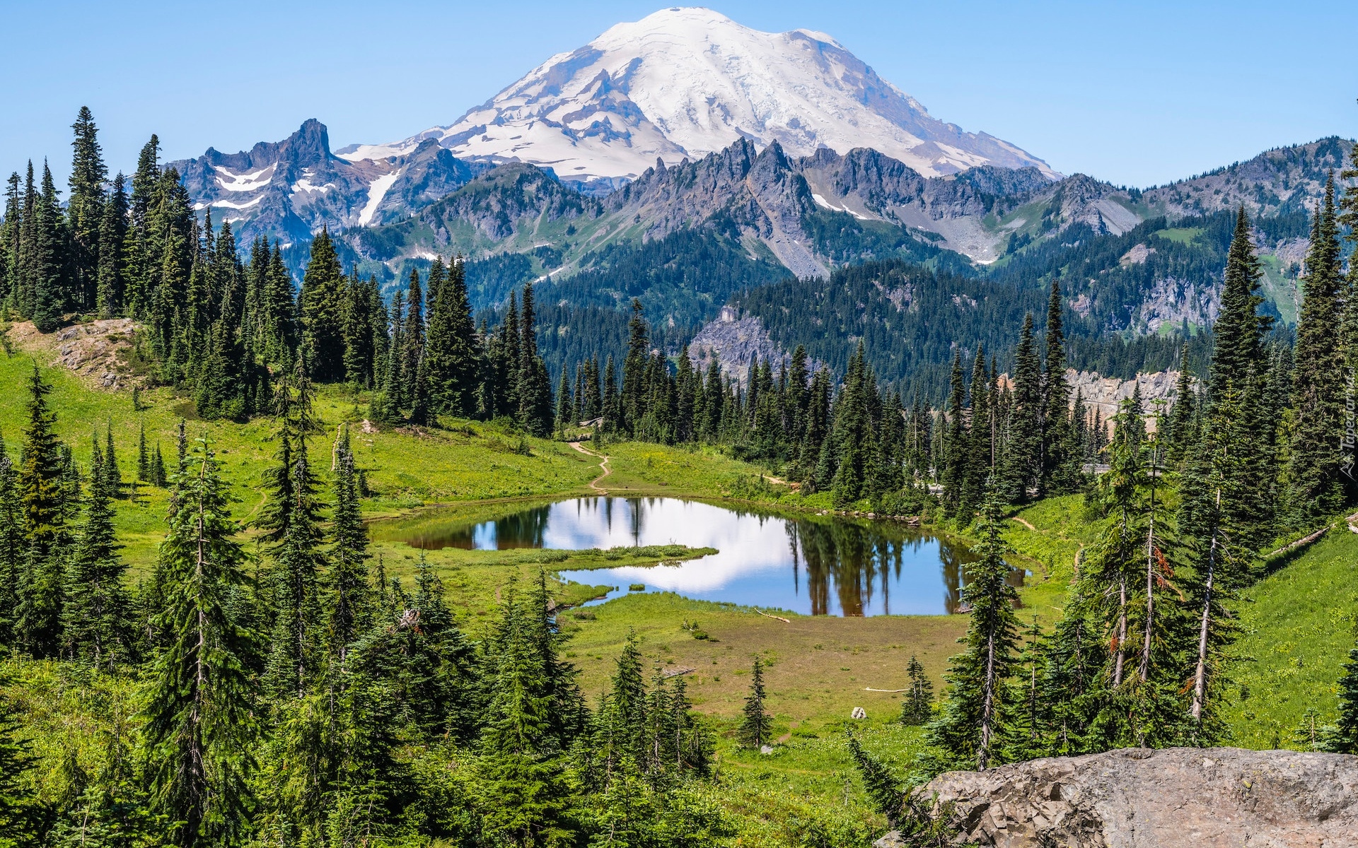 Stany Zjednoczone, Waszyngton, Park Narodowy Mount Rainier, Stratowulkan, Mount Rainier, Góry, Jezioro, Tipsoo Lake, Drzewa