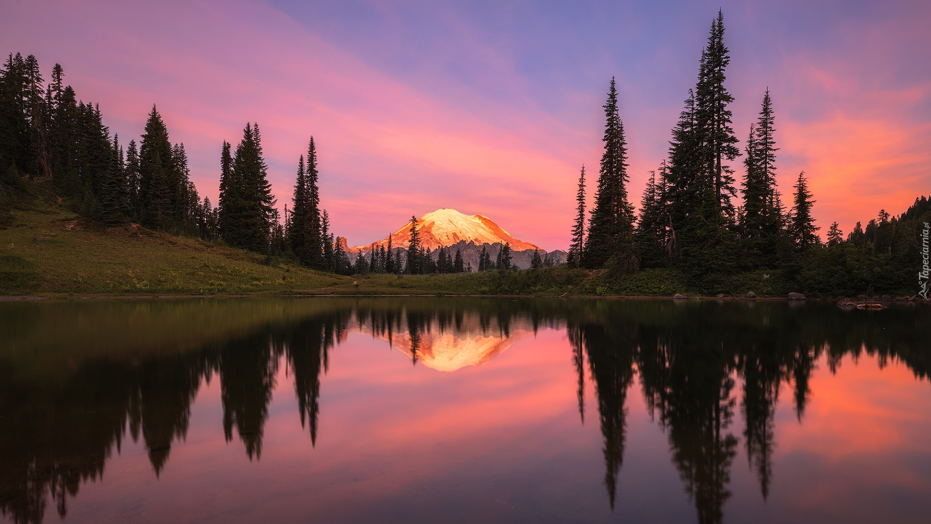 Jezioro, Tipsoo Lake, Park Narodowy Mount Rainier, Stratowulkan Mount Rainier, Drzewa, Wschód słońca, Stan Waszyngton, Stany Zjednoczone