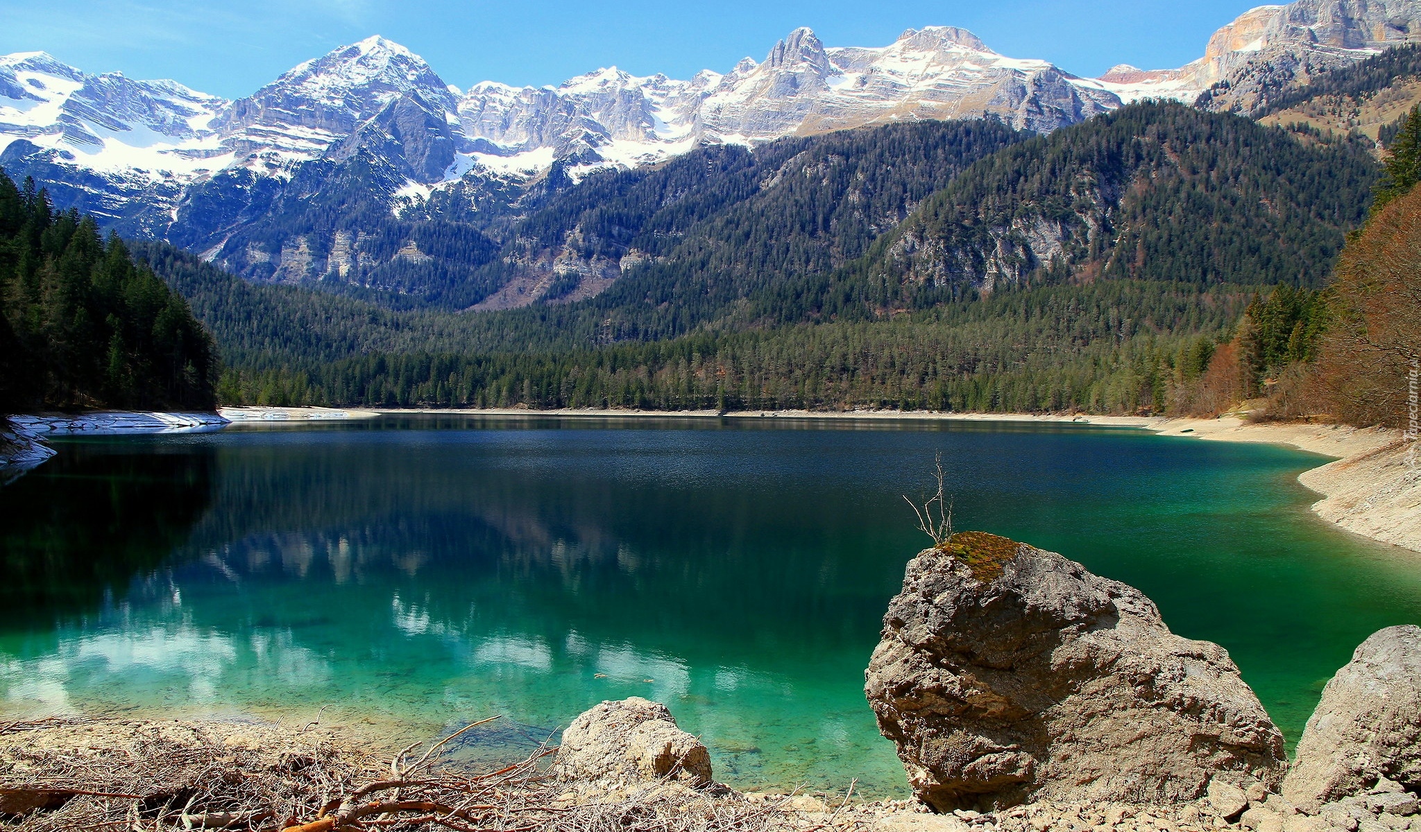 Jezioro Tovel, Góry, Dolomity Brenty, Park Przyrodniczy Adamello Brenta, Włochy