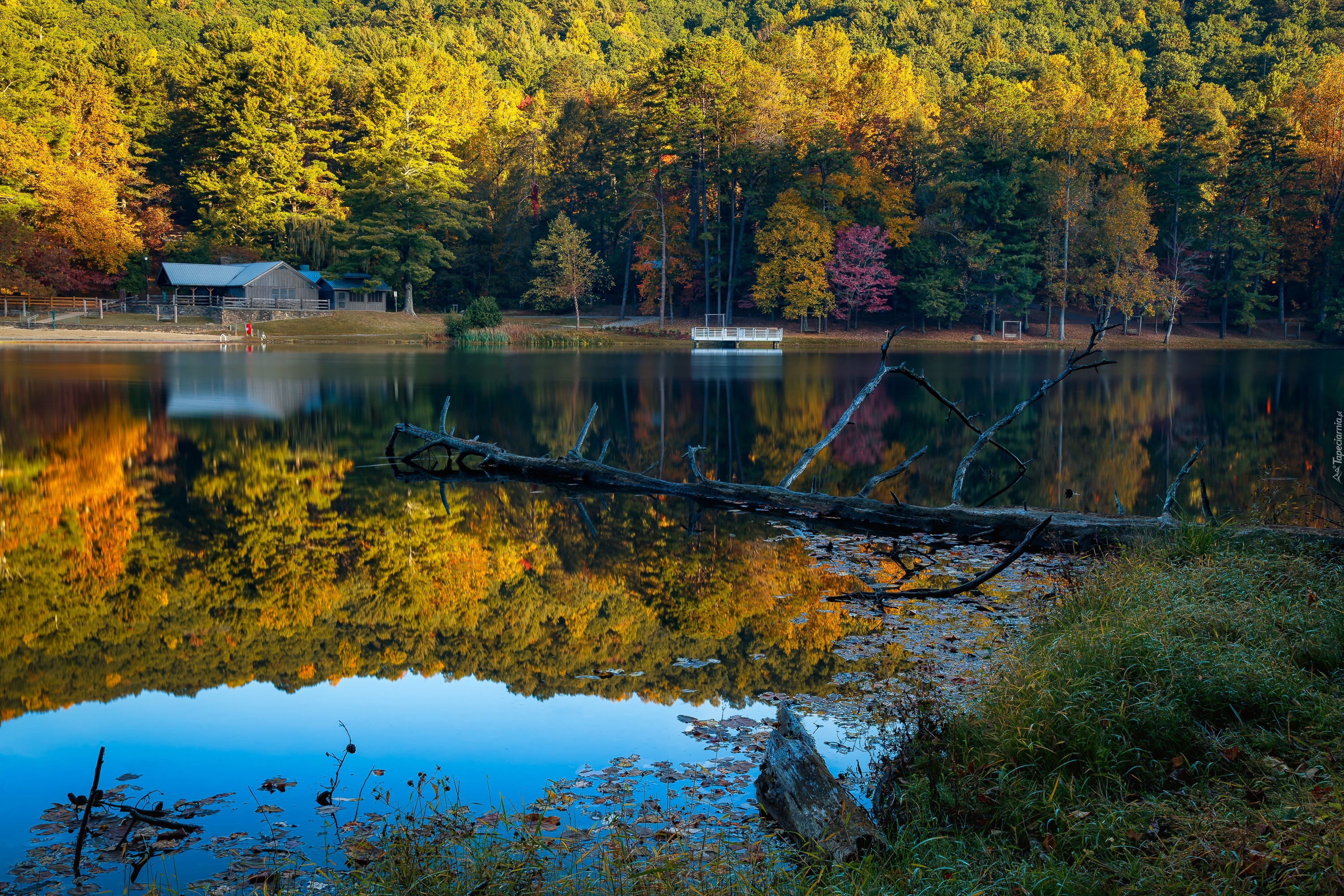 Stany Zjednoczone, Stan Georgia, Vogel State Park, Jezioro Trahlyta, Jesień