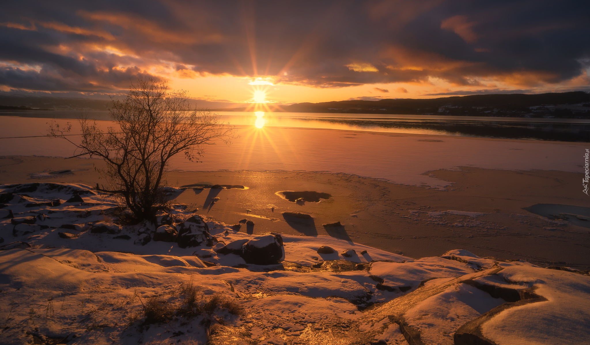 Zachód słońca, Zima, Drzewa, Jezioro Tyrifjorden, Okręg Buskerud, Norwegia