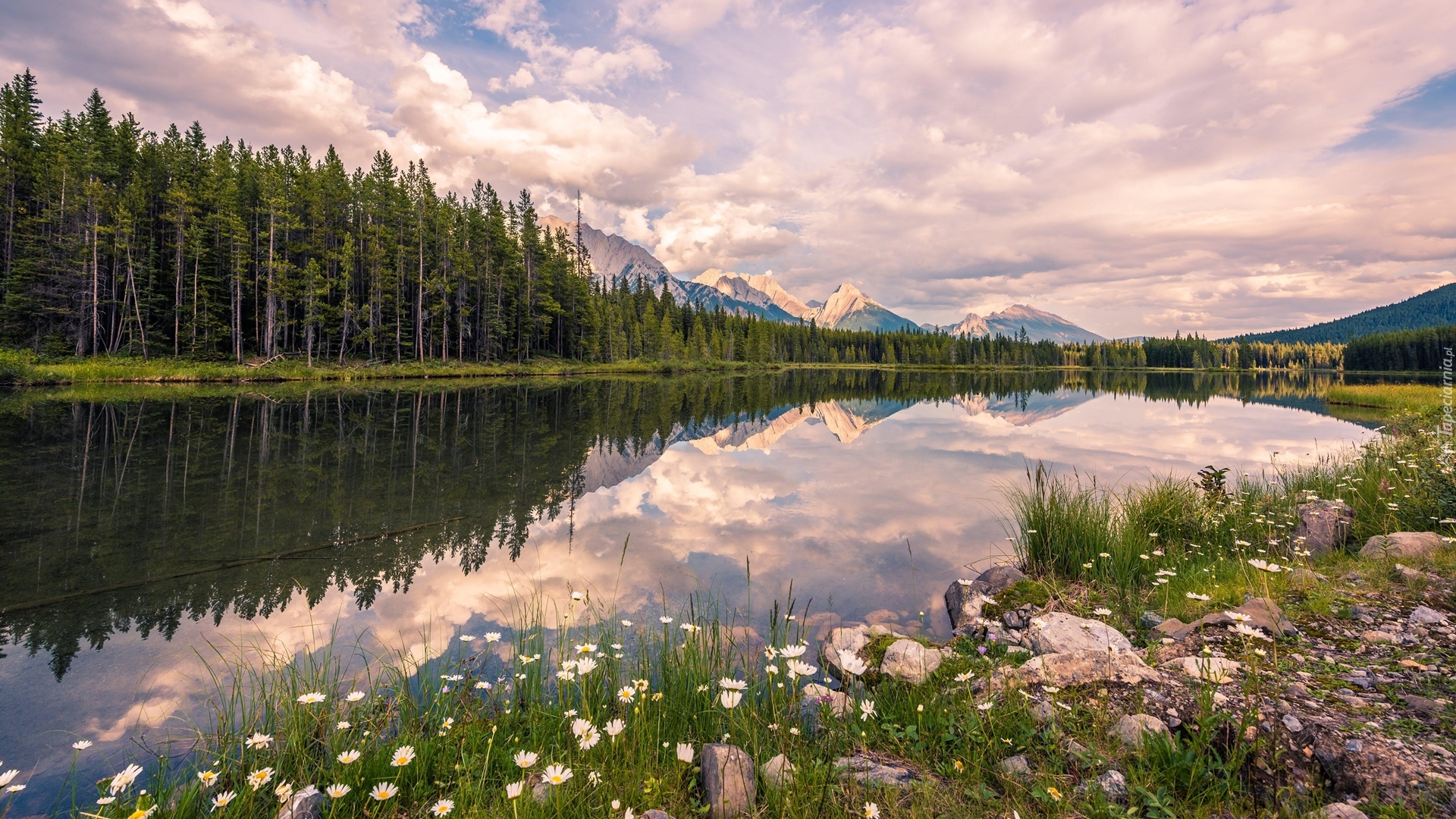 Kanada, Prowincja Alberta, Kananaskis Country, Drzewa, Las, Góry Canadian Rockies, Jezioro Upper Kananaskis Lake, Kamienie, Roślinność, Chmury