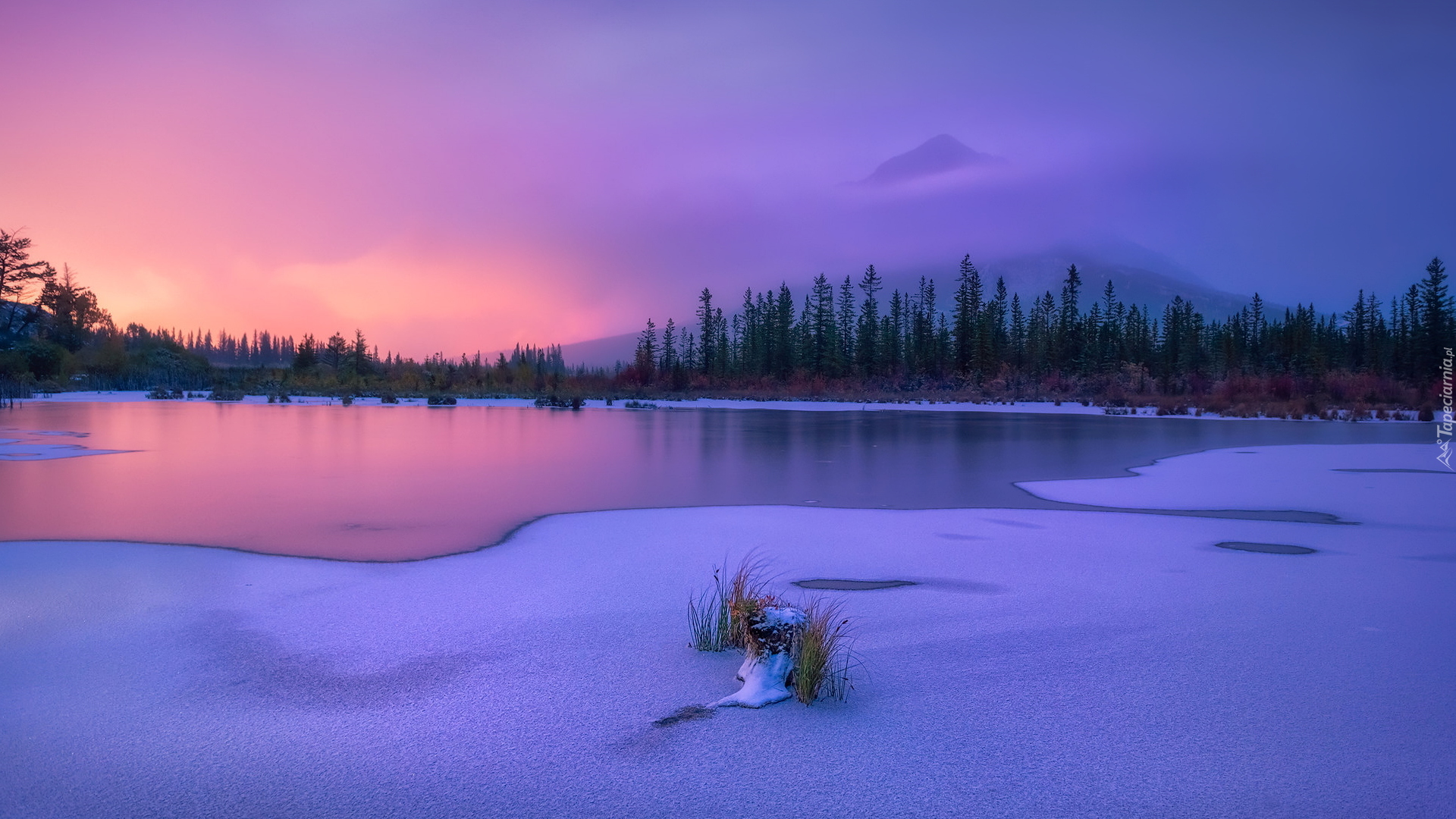 Zima, Jezioro, Vermilion Lake, Szczyt, Góry, Canadian Rockies, Park Narodowy Banff, Drzewa, Mgła, Alberta, Kanada