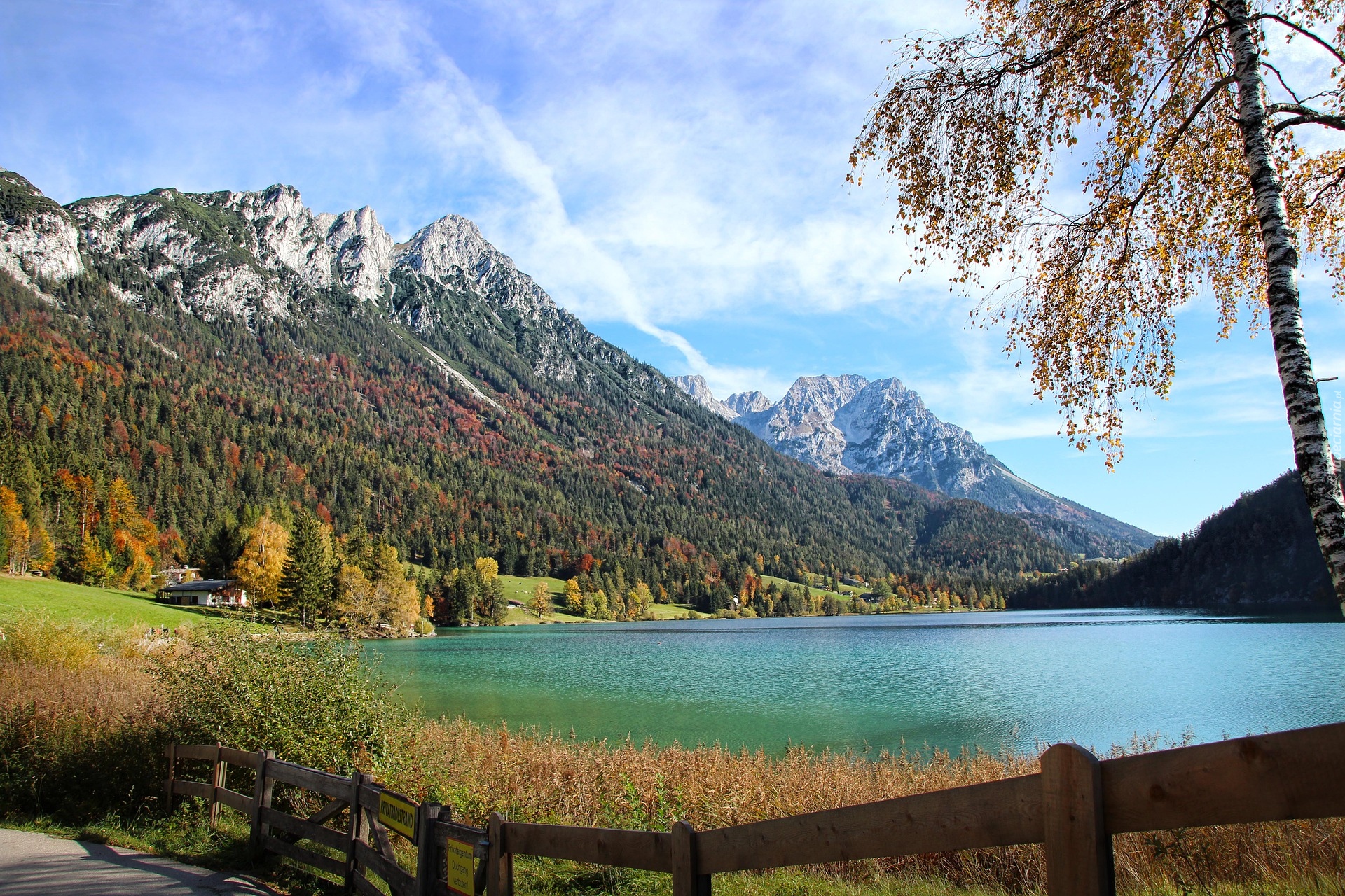 Góry Kaisergebirge, Ellmau, Drzewo, Jezioro, Gmina Ellmau, Austria