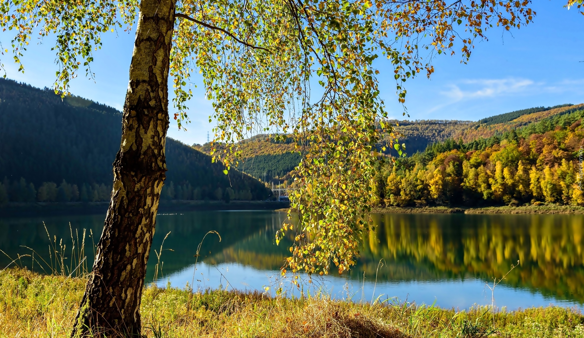 Belgia, Prowincja Liège, Gmina Stavelot, Wieś Coo, Jezioro, Wzgórza,  Lasy, Drzewo