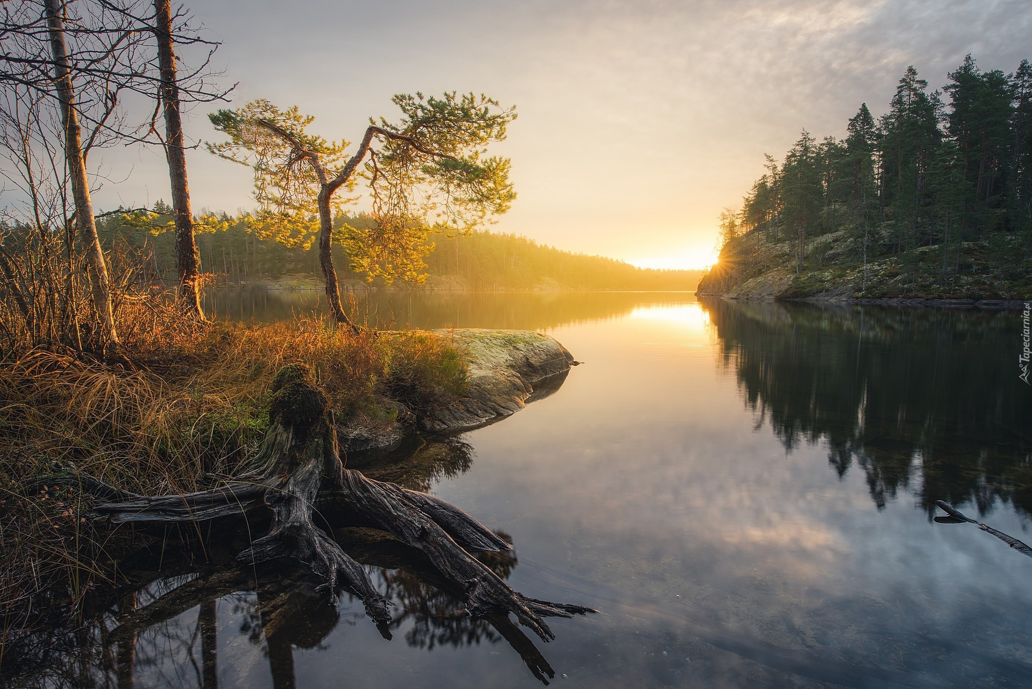 Jezioro, Lasy, Drzewa, Wschód słońca