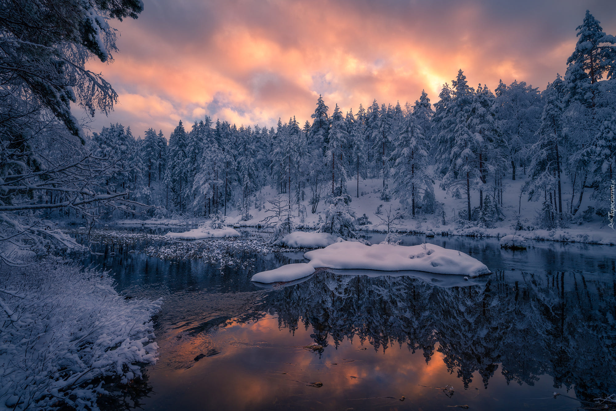 Norwegia, Gmina Ringerike, Jezioro, Zima, Drzewa, Śnieg