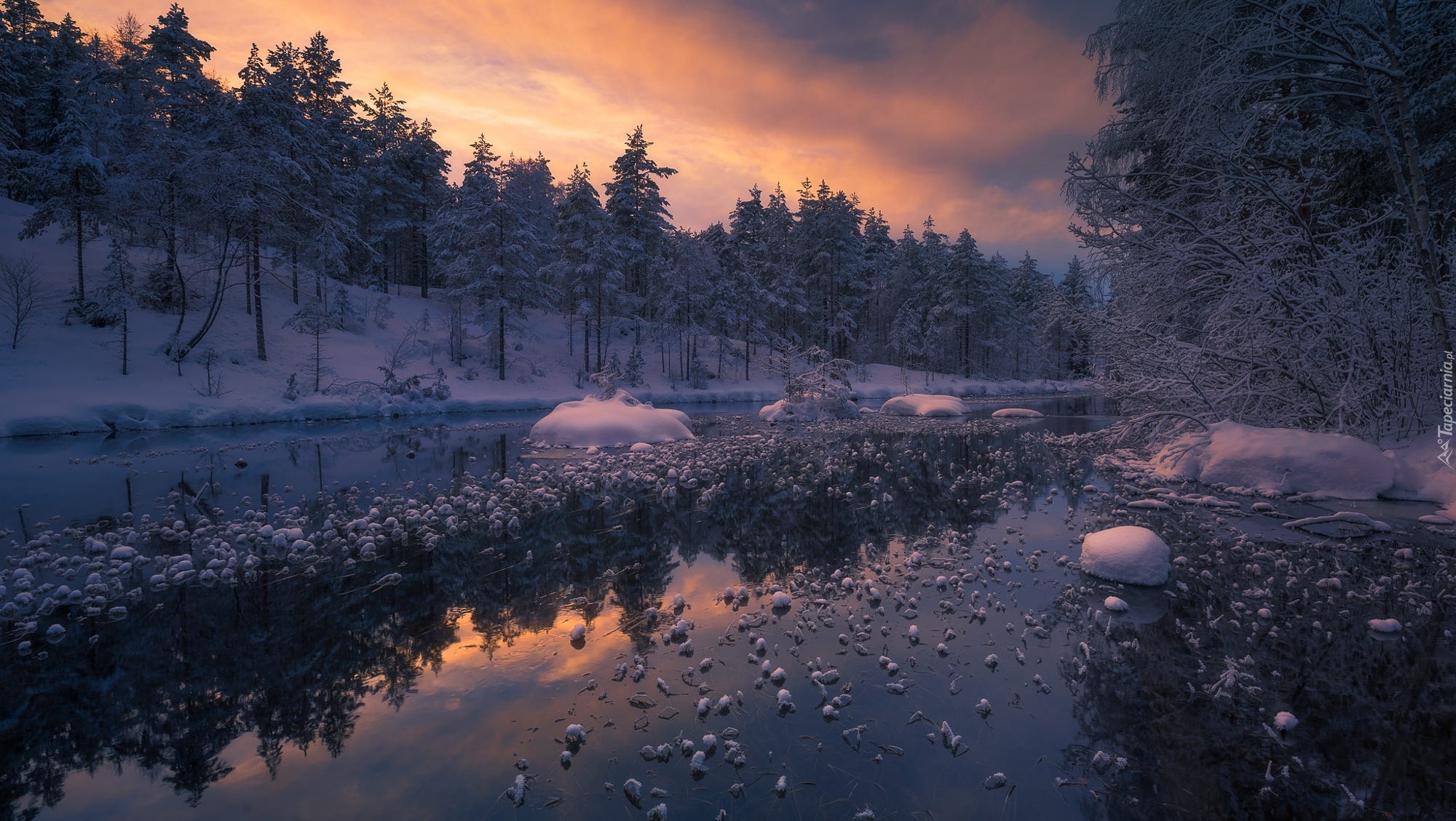 Norwegia, Ringerike, Drzewa, Zima, Jezioro