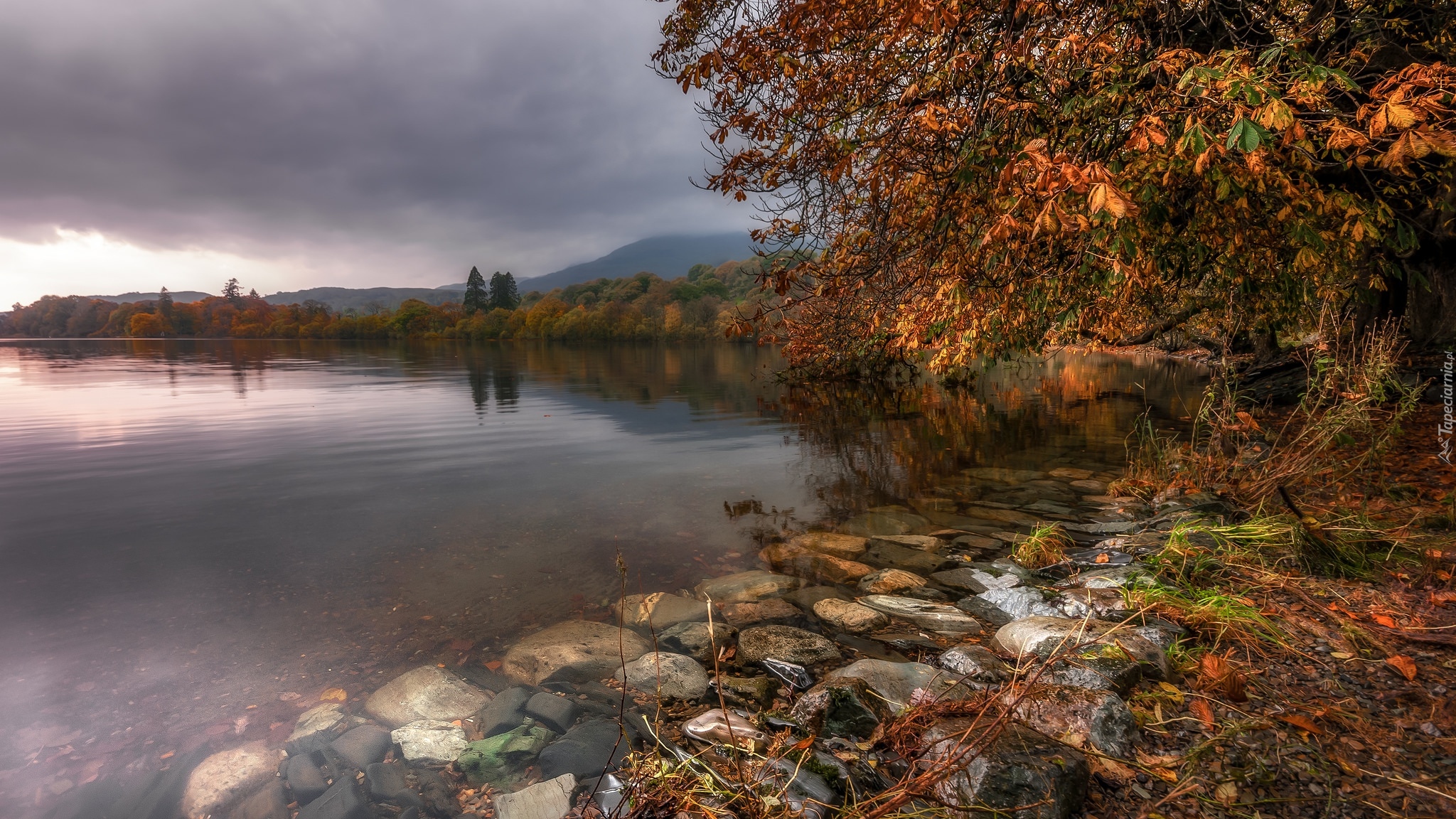 Wielka Brytania, Anglia, Kumbria, Kraina Lake District, Jesień, Kamienie, Drzewa, Jezioro Coniston Water